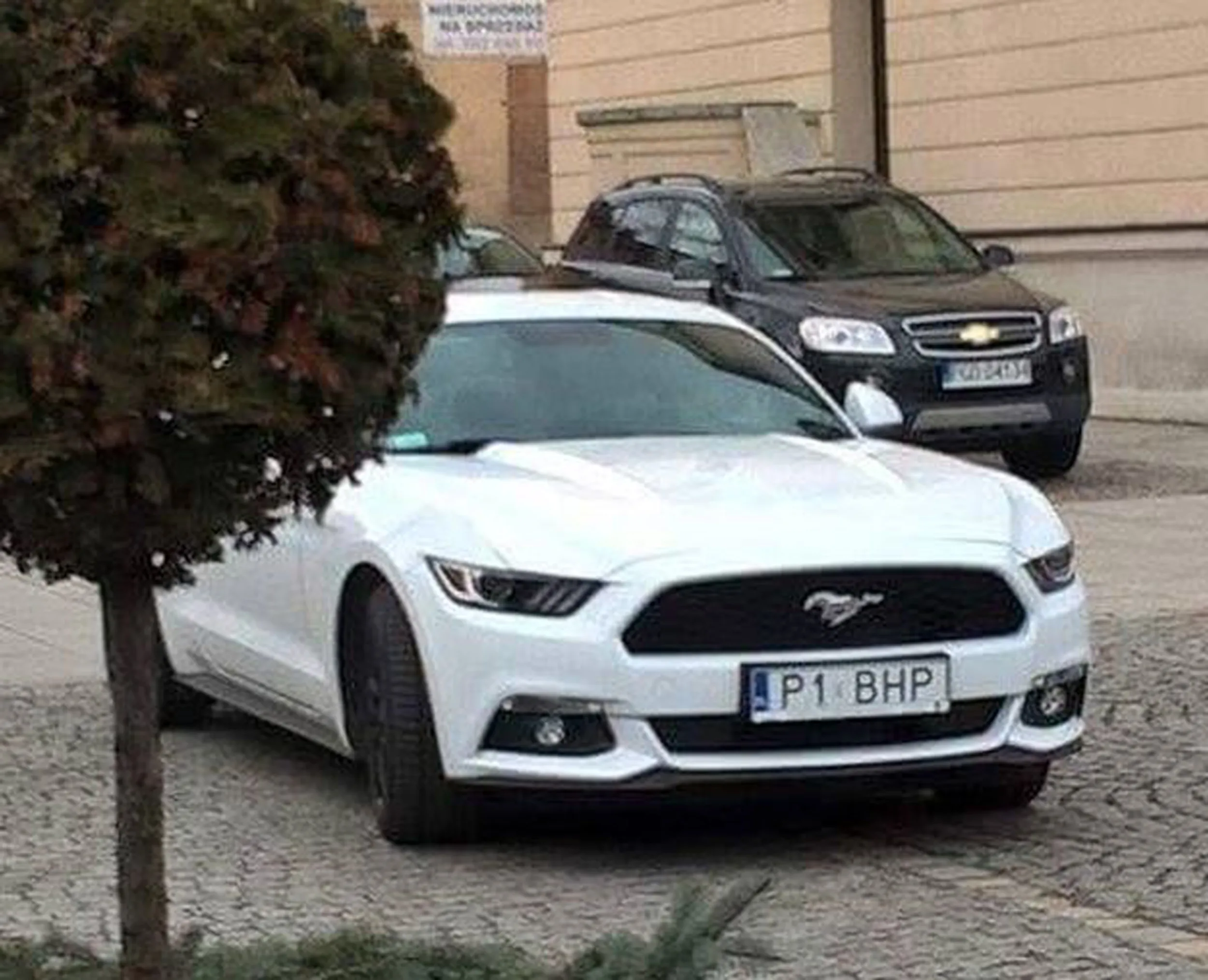 Fajny numer, blacha P1 BHP