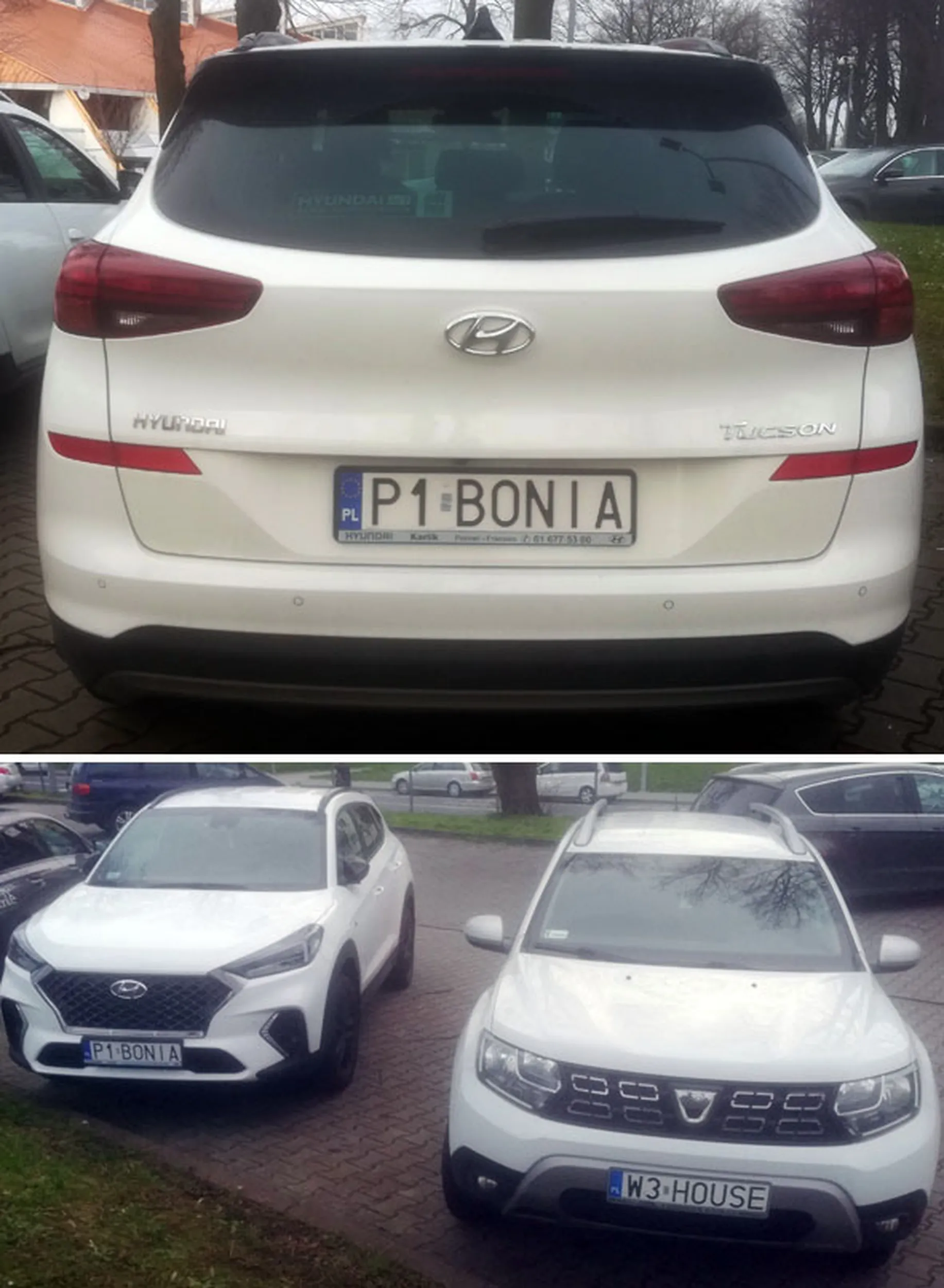 Fajny numer, blacha P1 BONIA