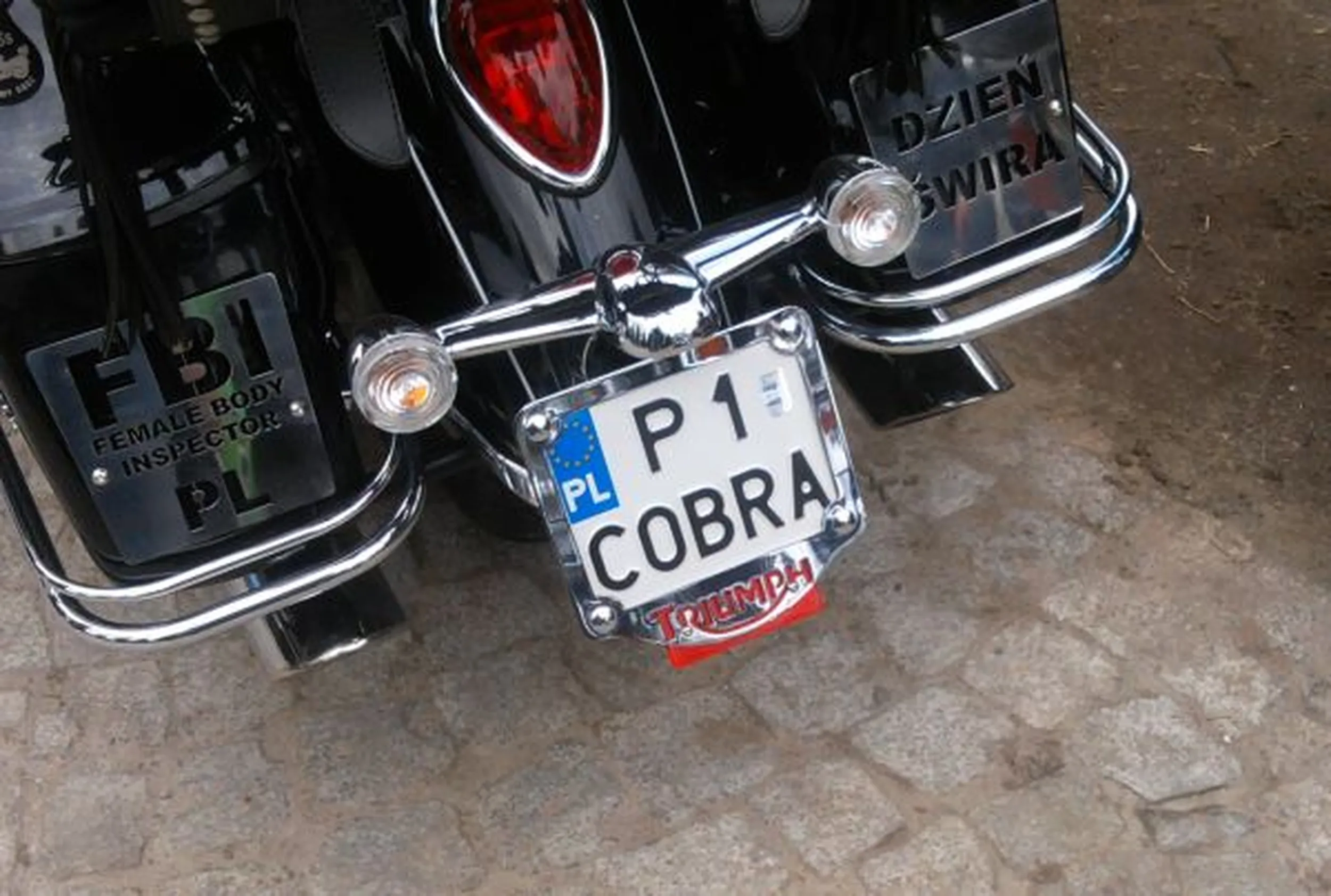 Fajny numer, blacha P1 COBRA