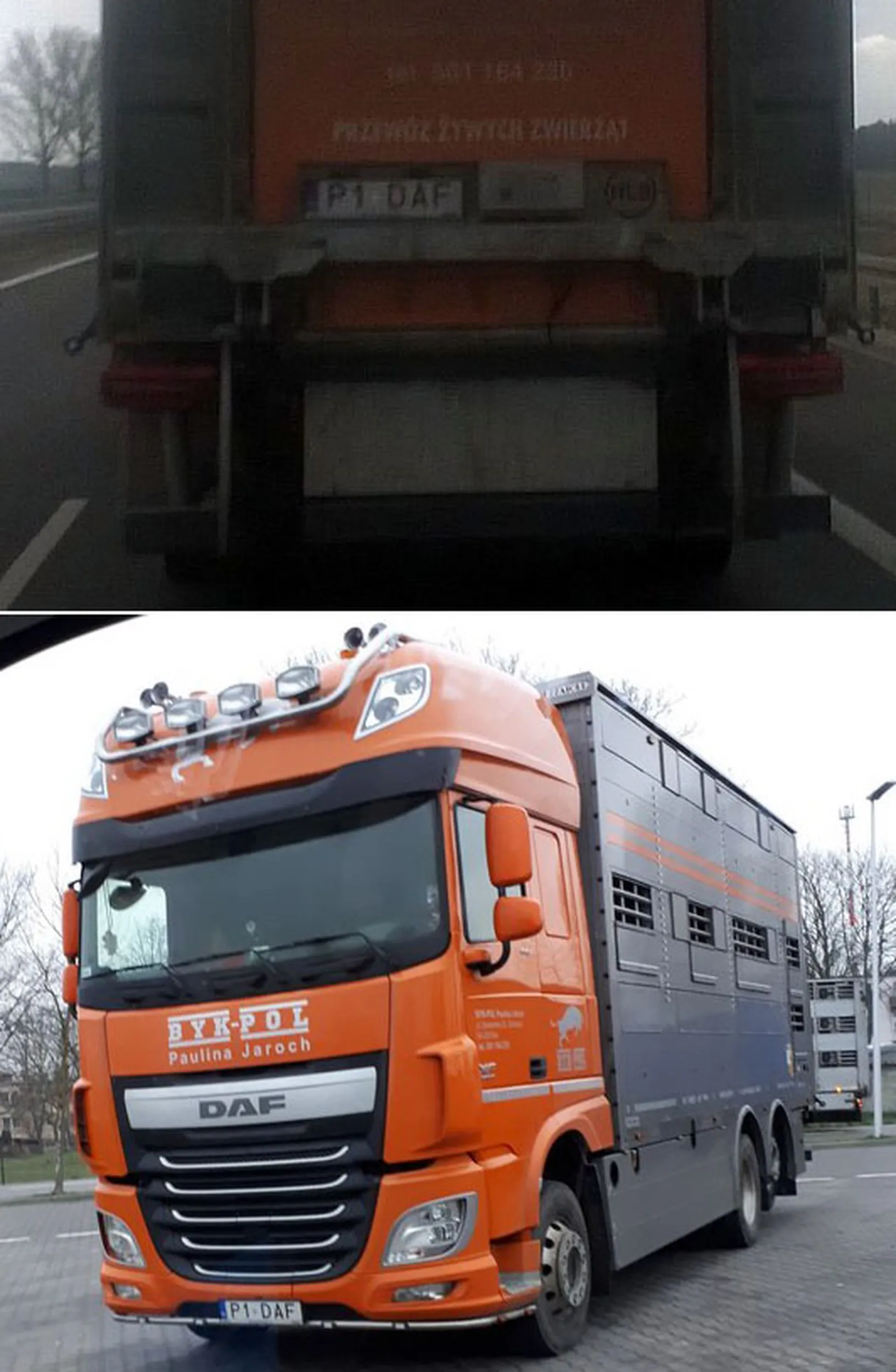 Fajny numer, blacha P1 DAF