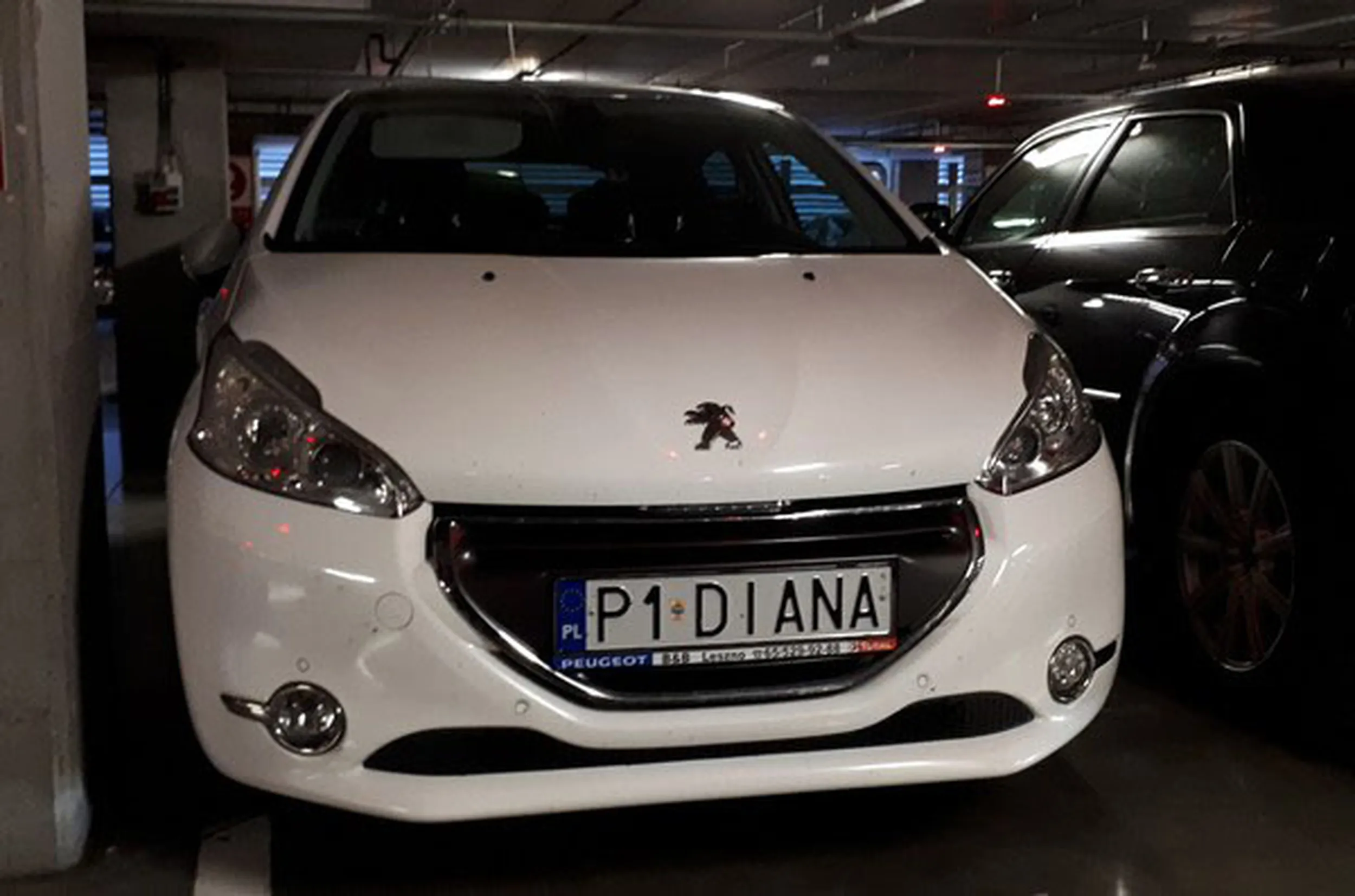 Fajny numer, blacha P1 DIANA