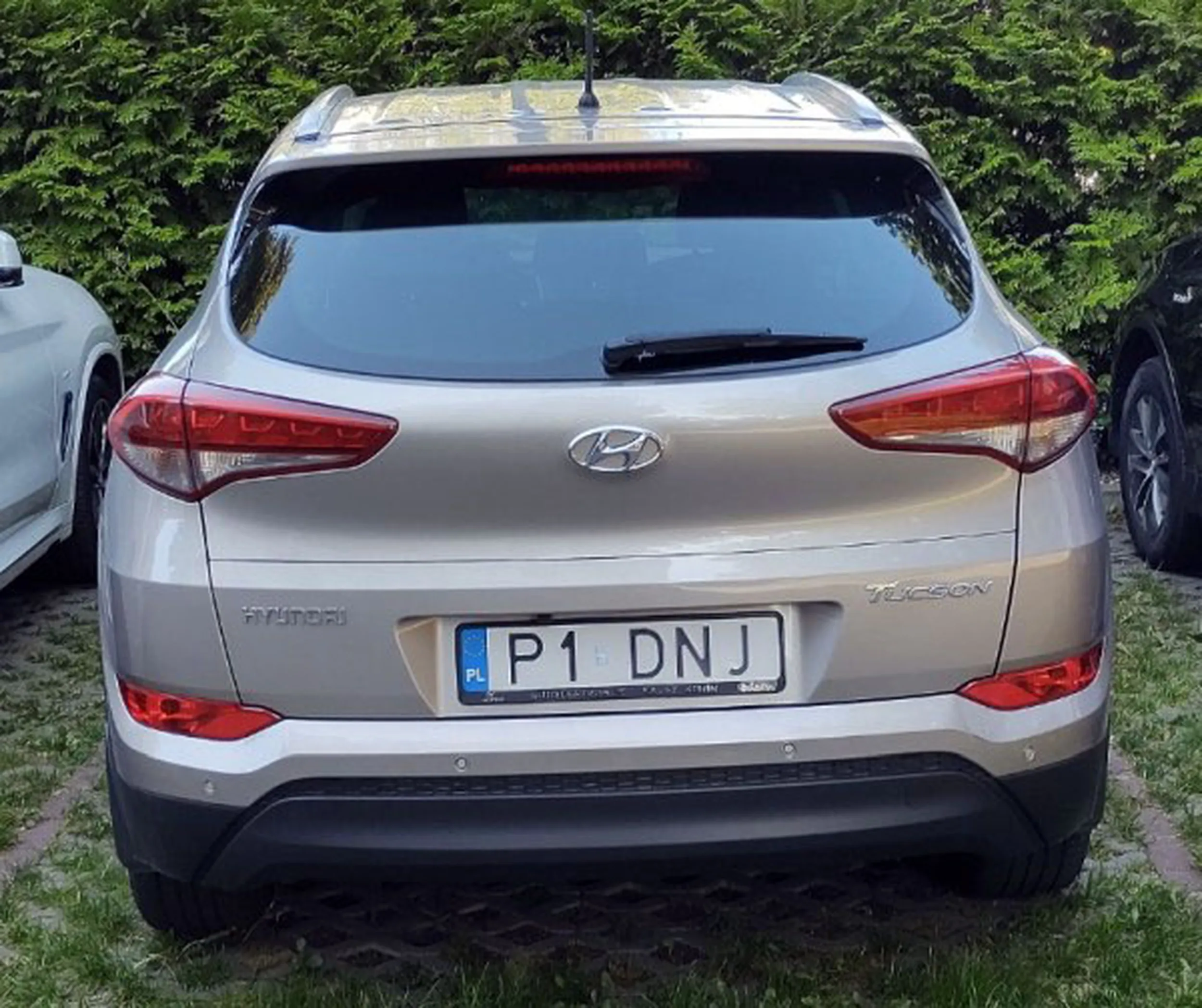 Fajny numer, blacha P1 DNJ