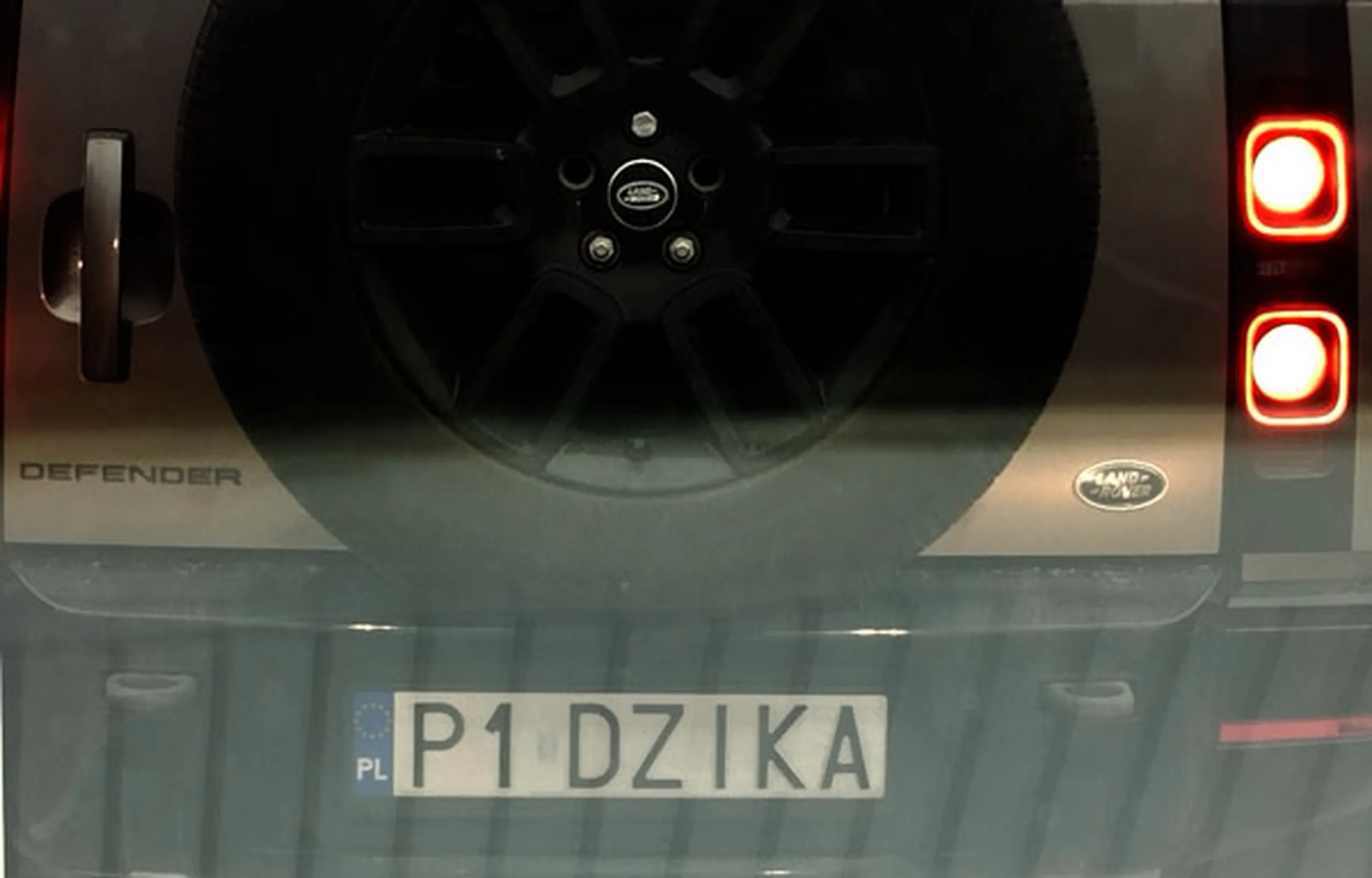 Fajny numer, blacha P1 DZIKA