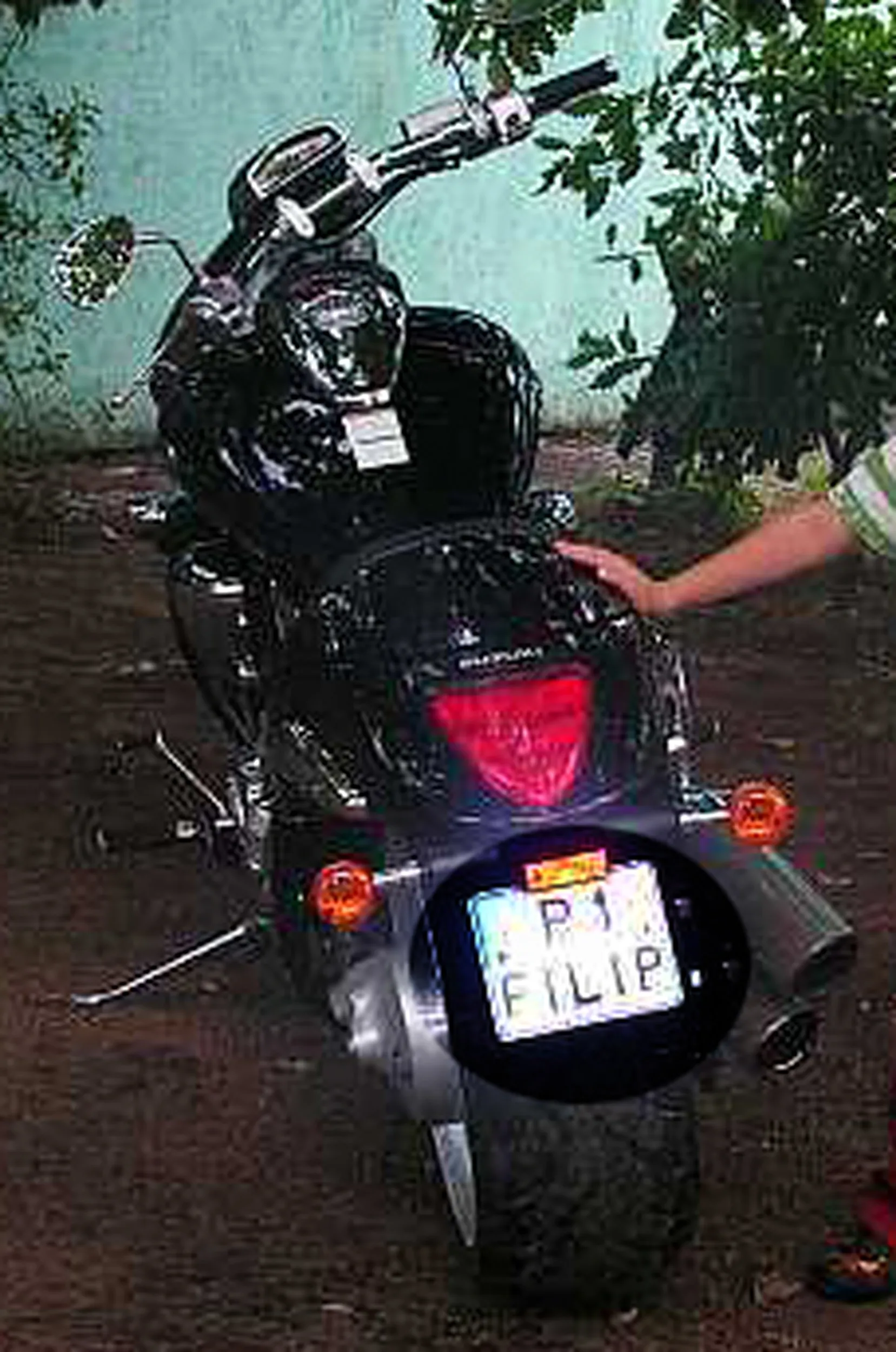 Fajny numer, blacha P1 FILIP