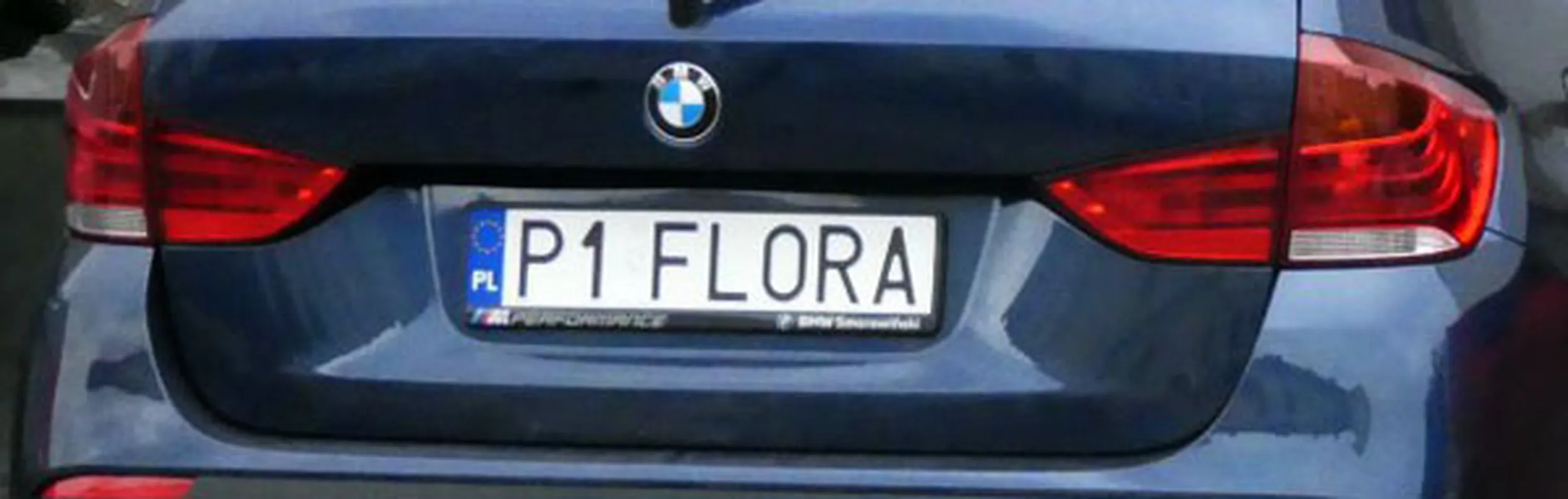 Fajny numer, blacha P1 FLORA