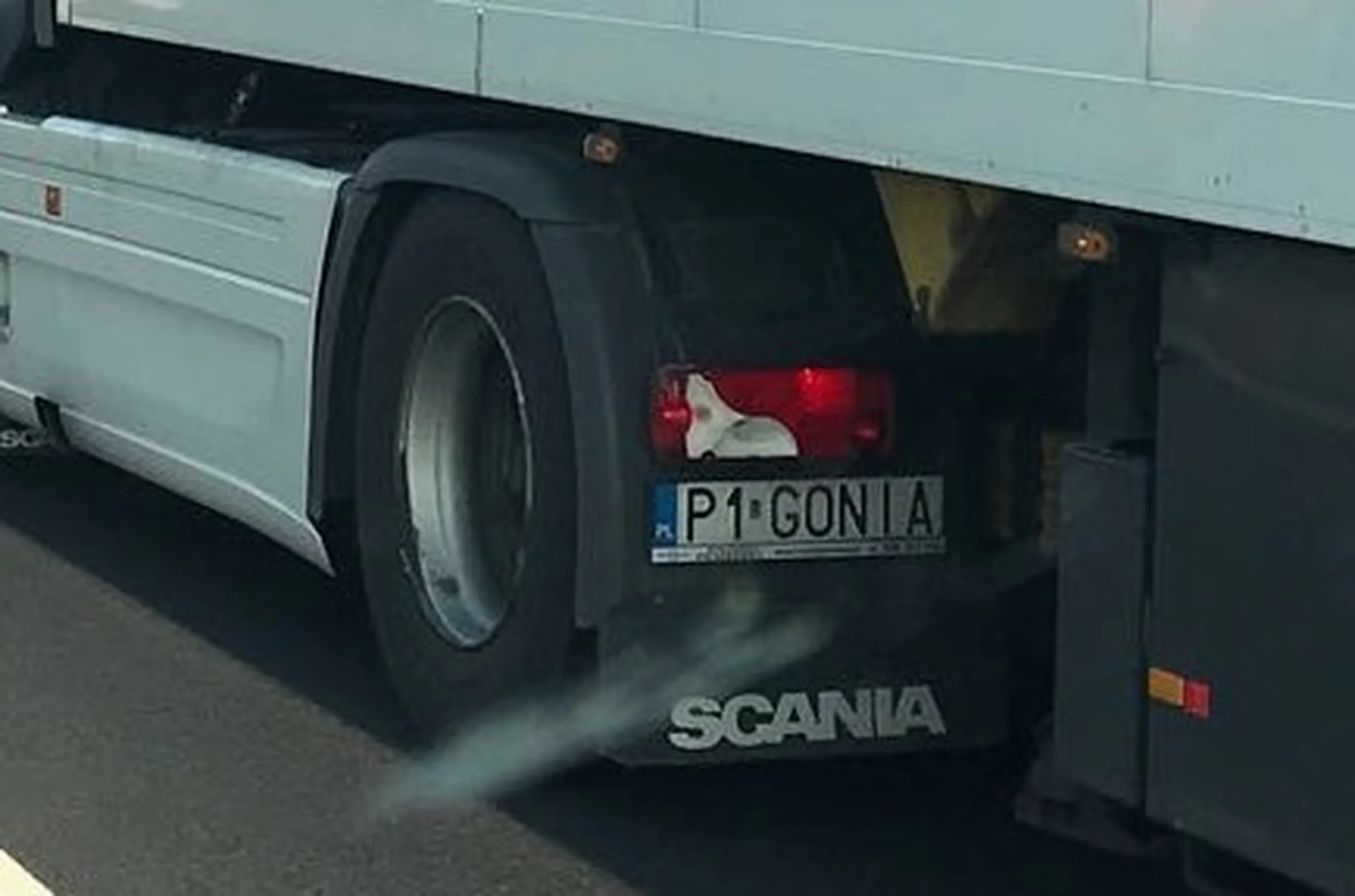 Fajny numer, blacha P1 GONIA