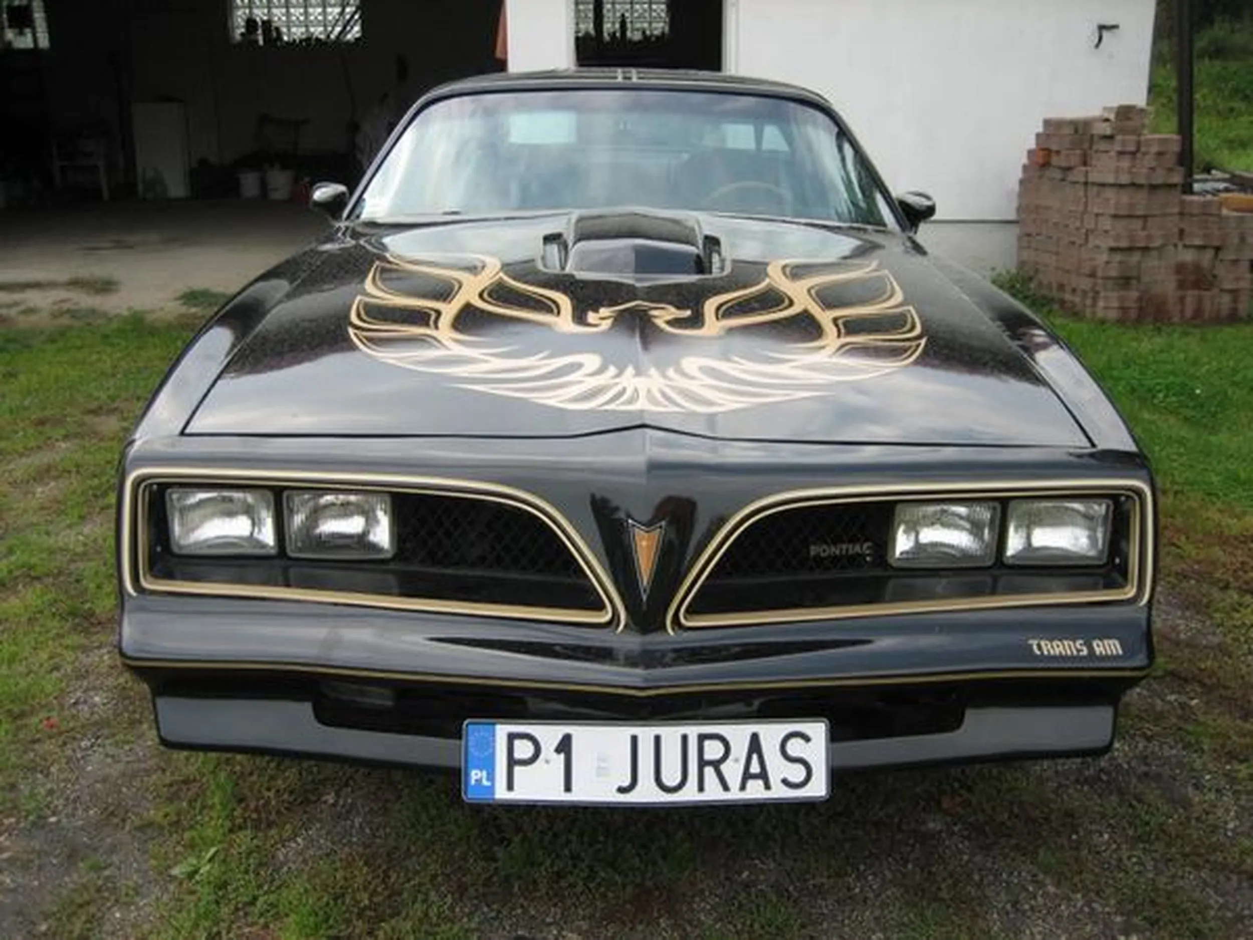 Fajny numer, blacha P1 JURAS