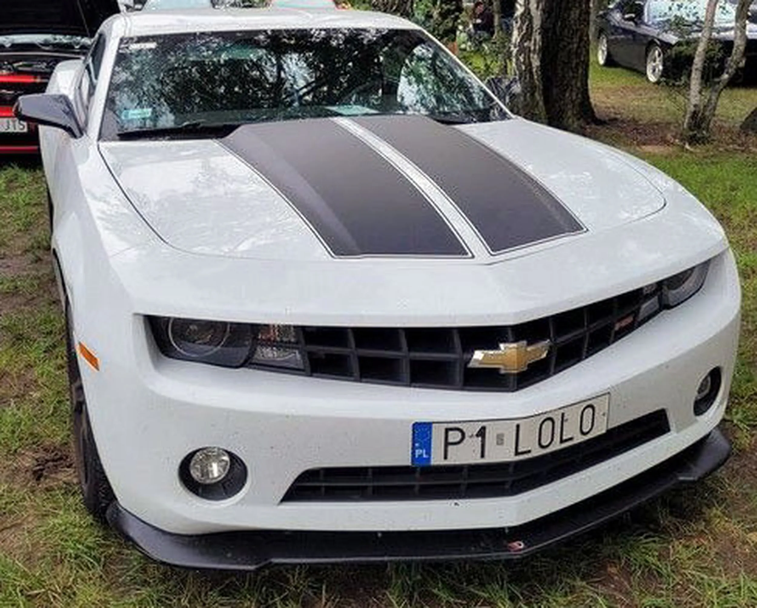 Fajny numer, blacha P1 LOLO