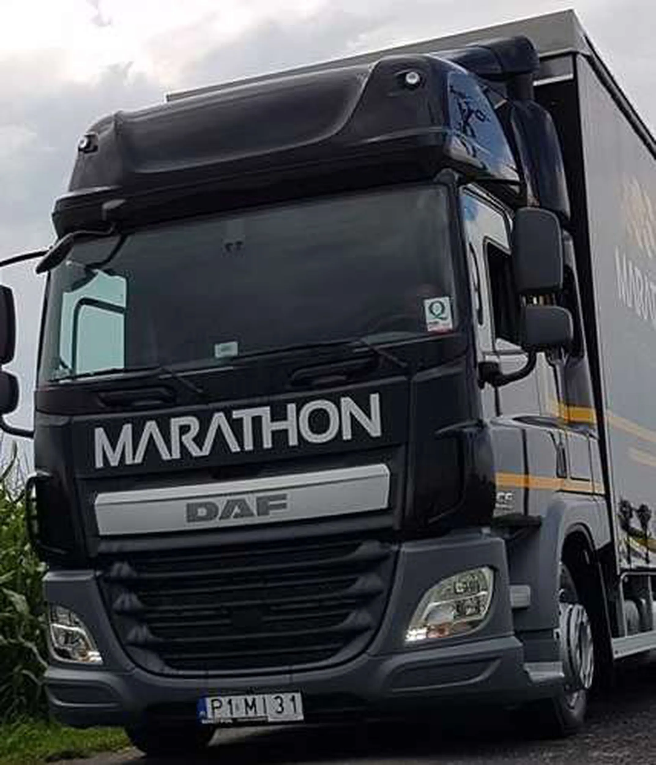 Fajny numer, blacha P1 MI31