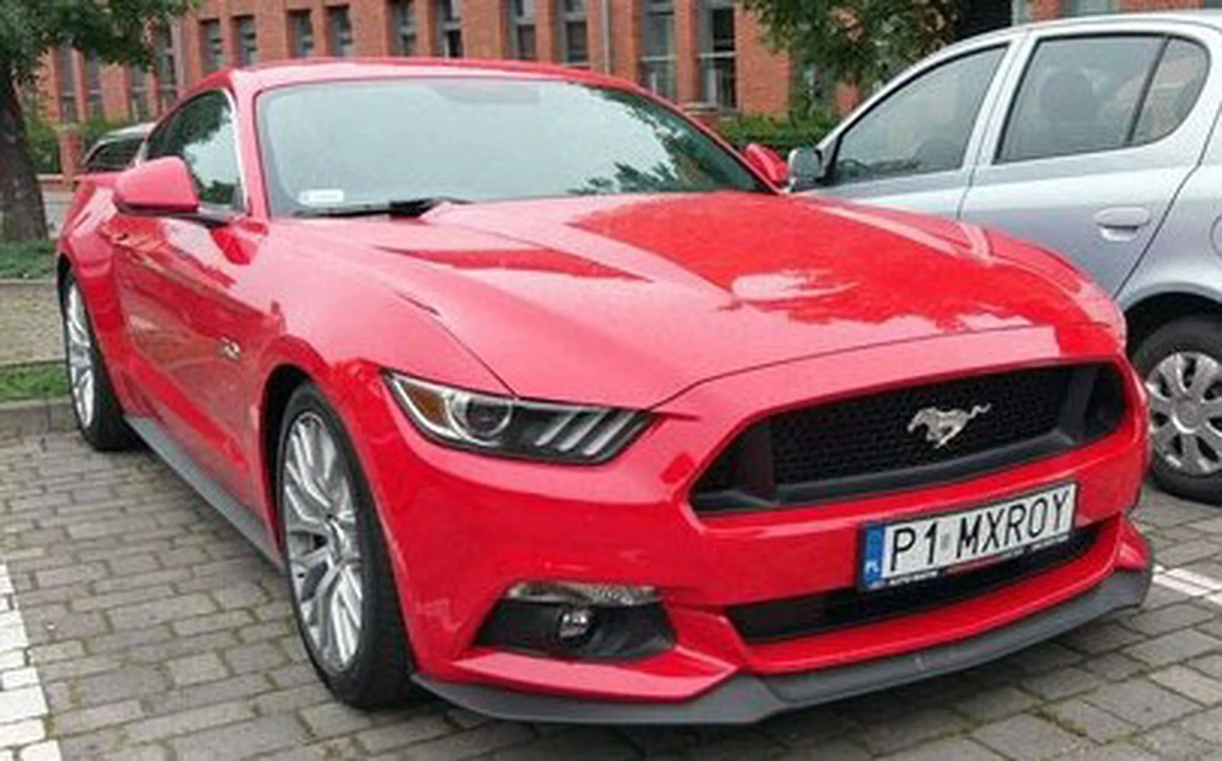 Fajny numer, blacha P1 MXROY