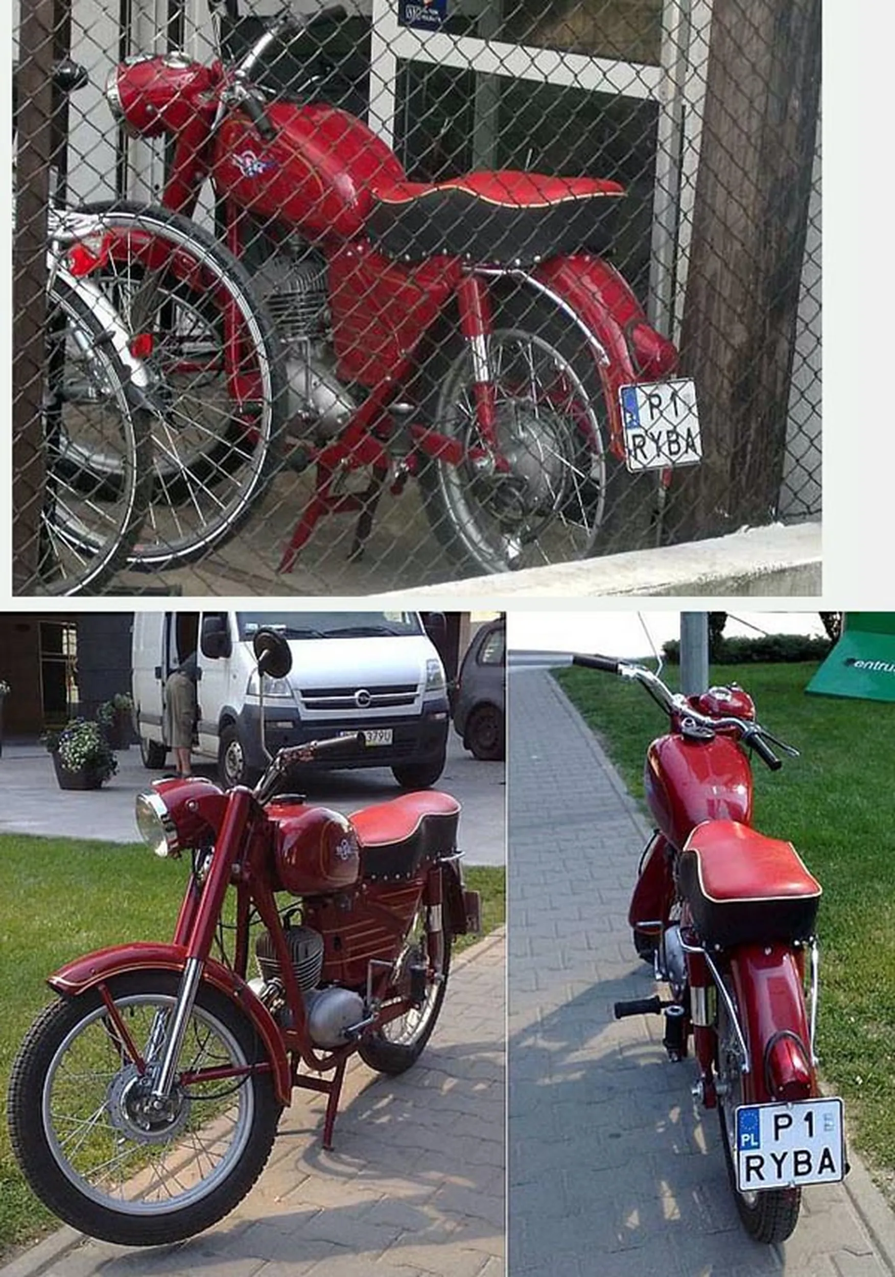 Fajny numer, blacha P1 RYBA