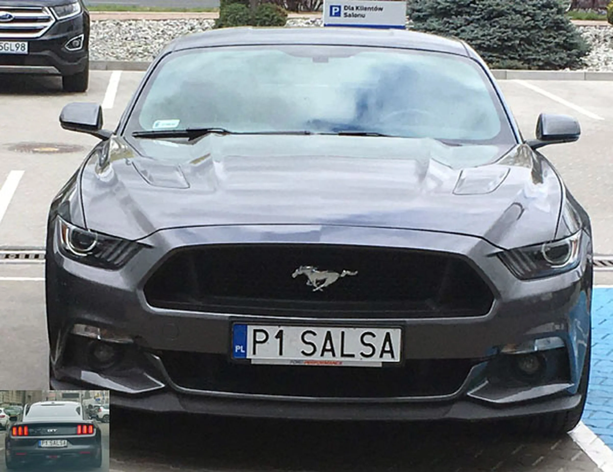 Fajny numer, blacha P1 SALSA