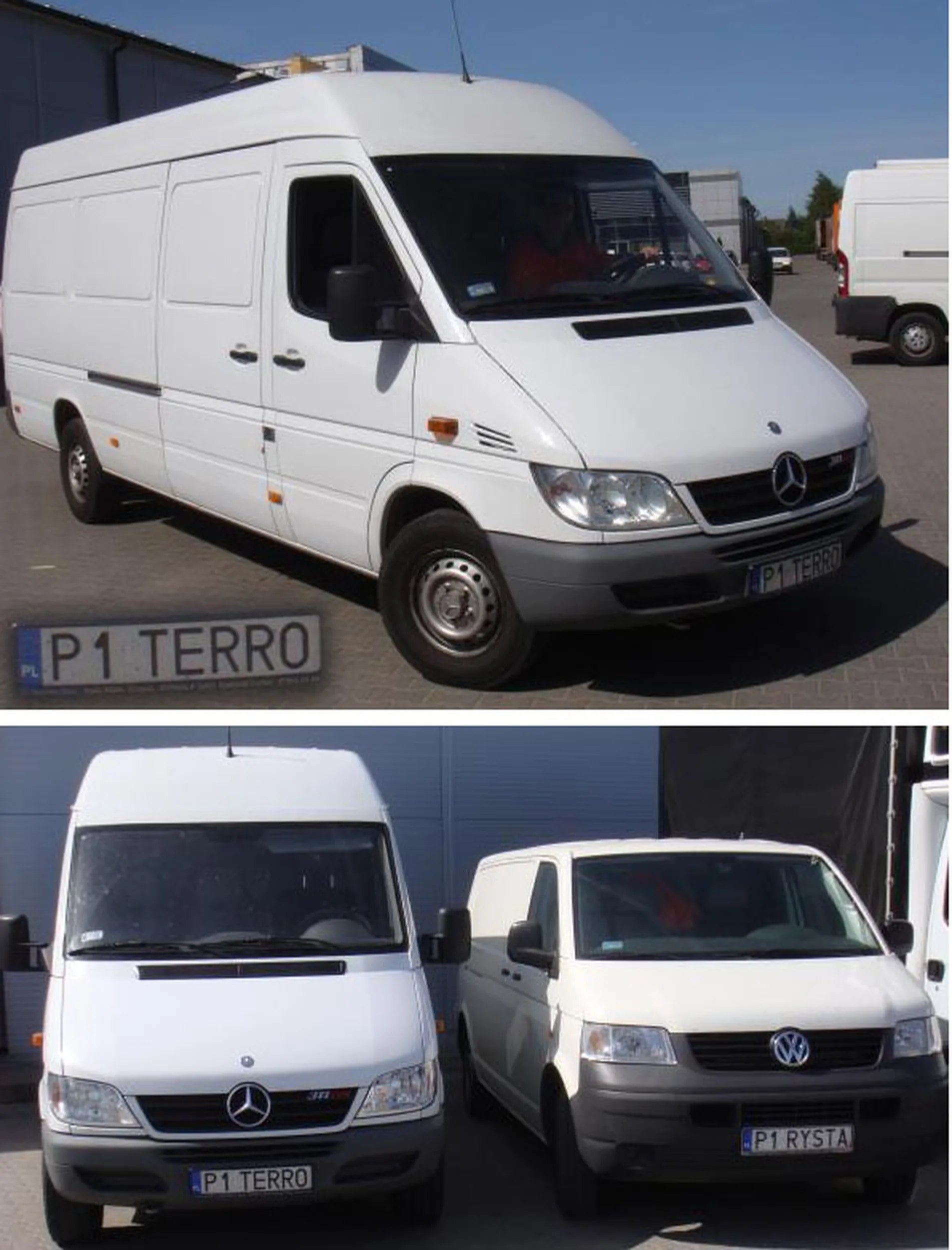 Fajny numer, blacha P1 TERRO