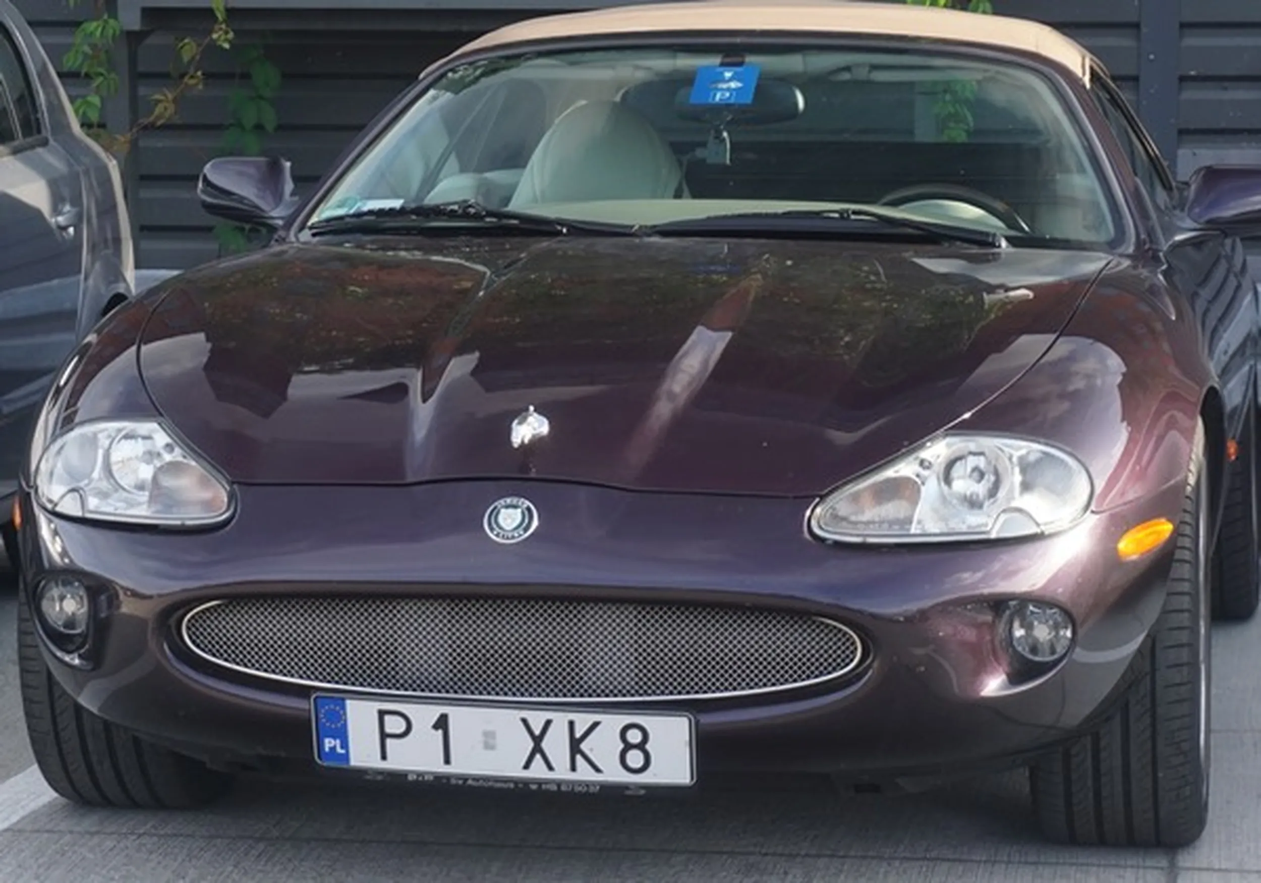 Fajny numer, blacha P1 XK8