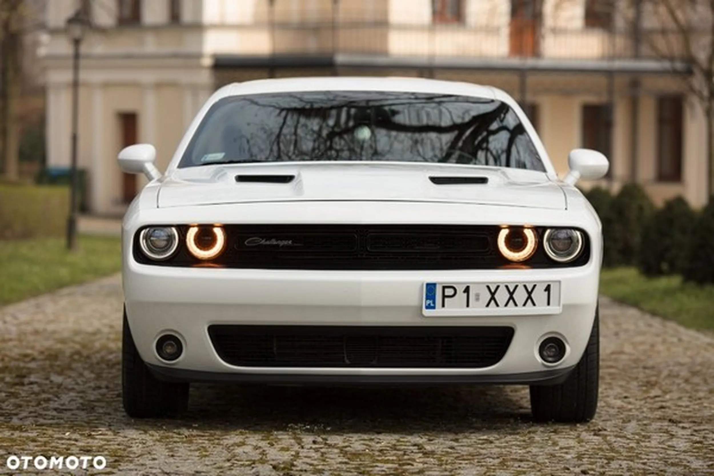 Fajny numer, blacha P1 XXX1