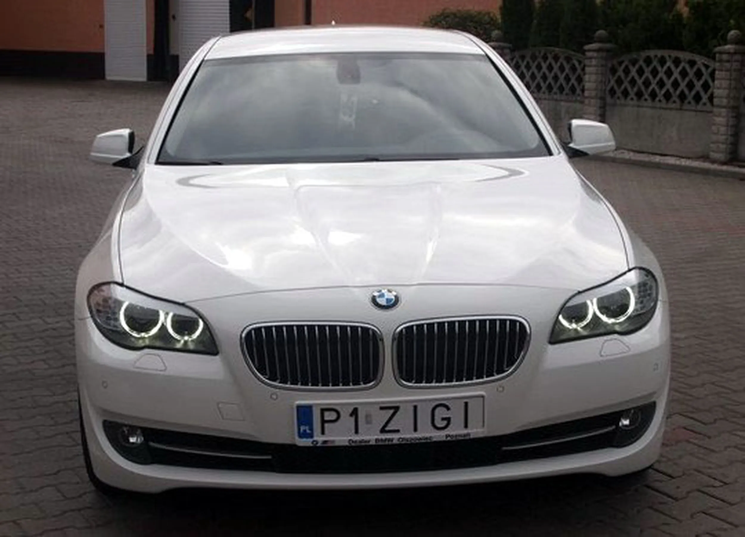 Fajny numer, blacha P1 ZIGI