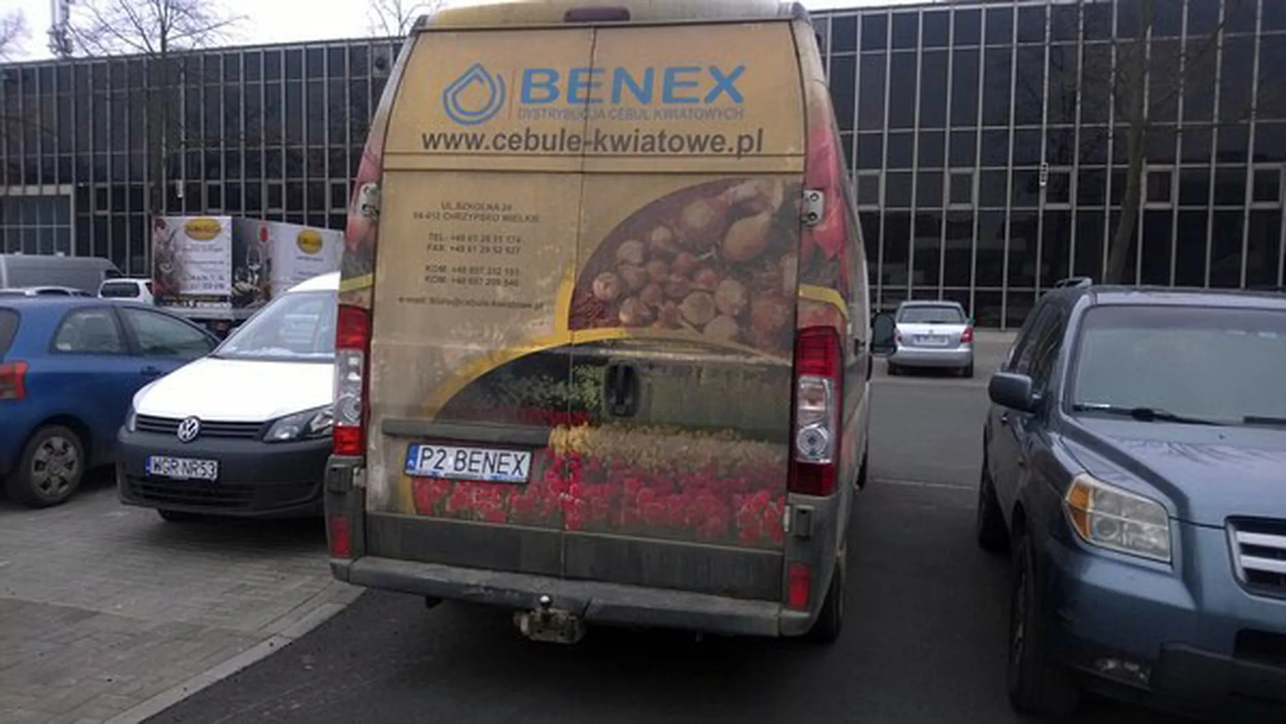 Fajny numer, blacha P2 BENEX