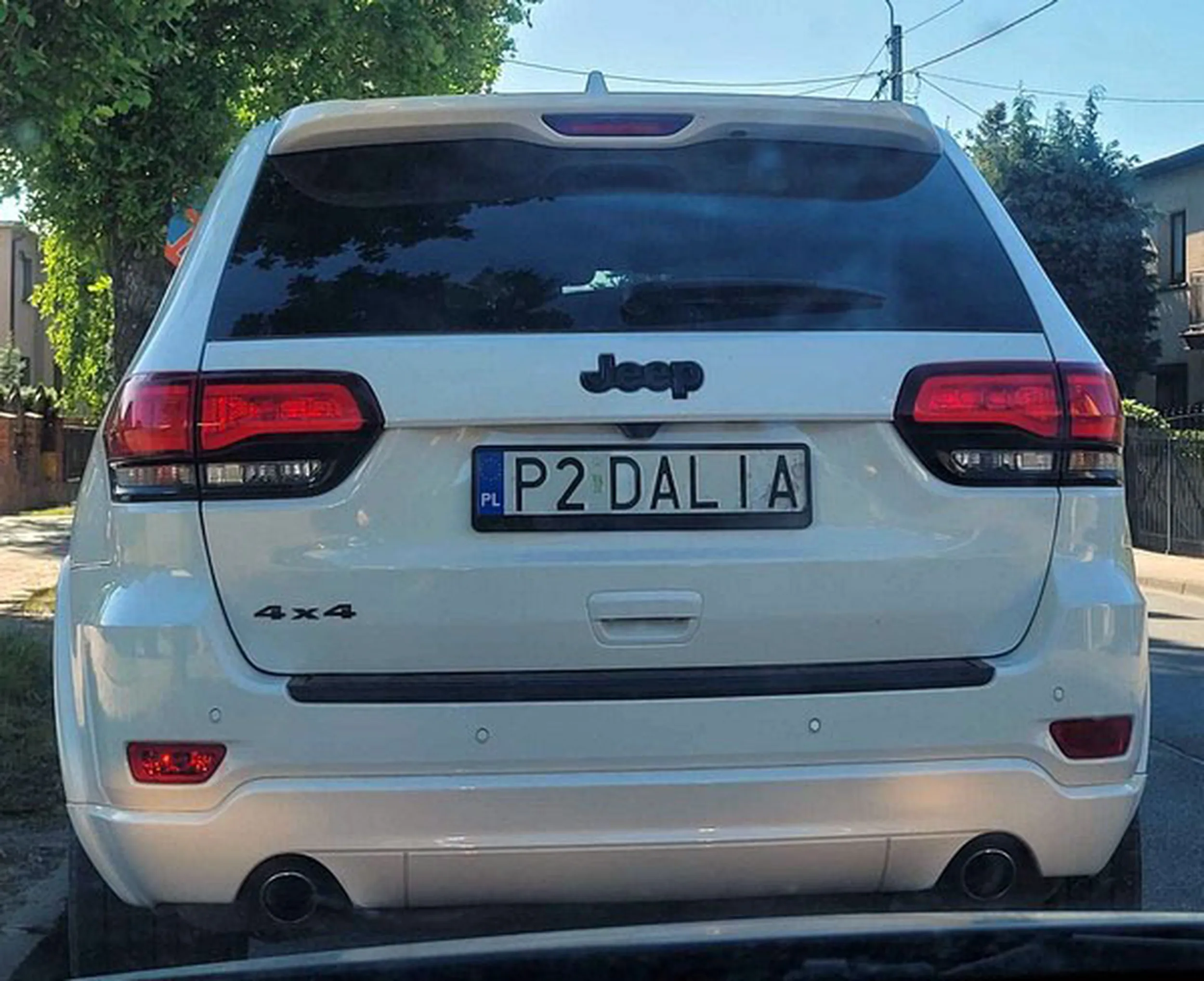 Fajny numer, blacha P2 DALIA