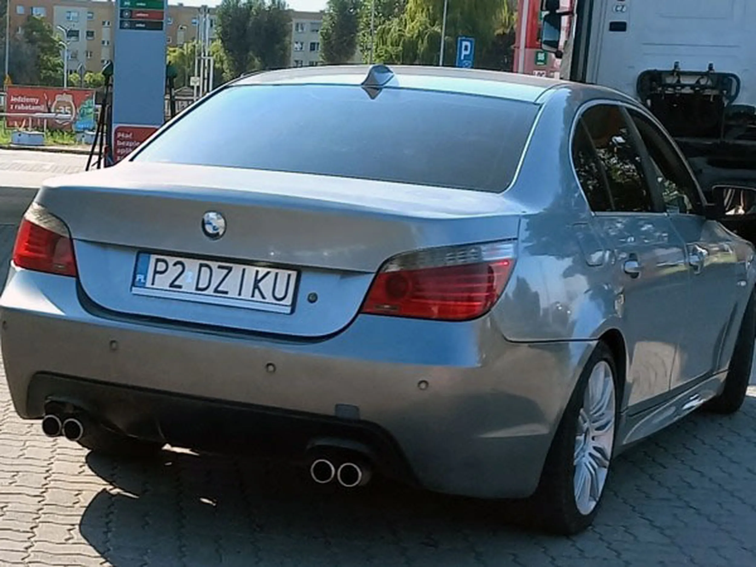 Fajny numer, blacha P2 DZIKU