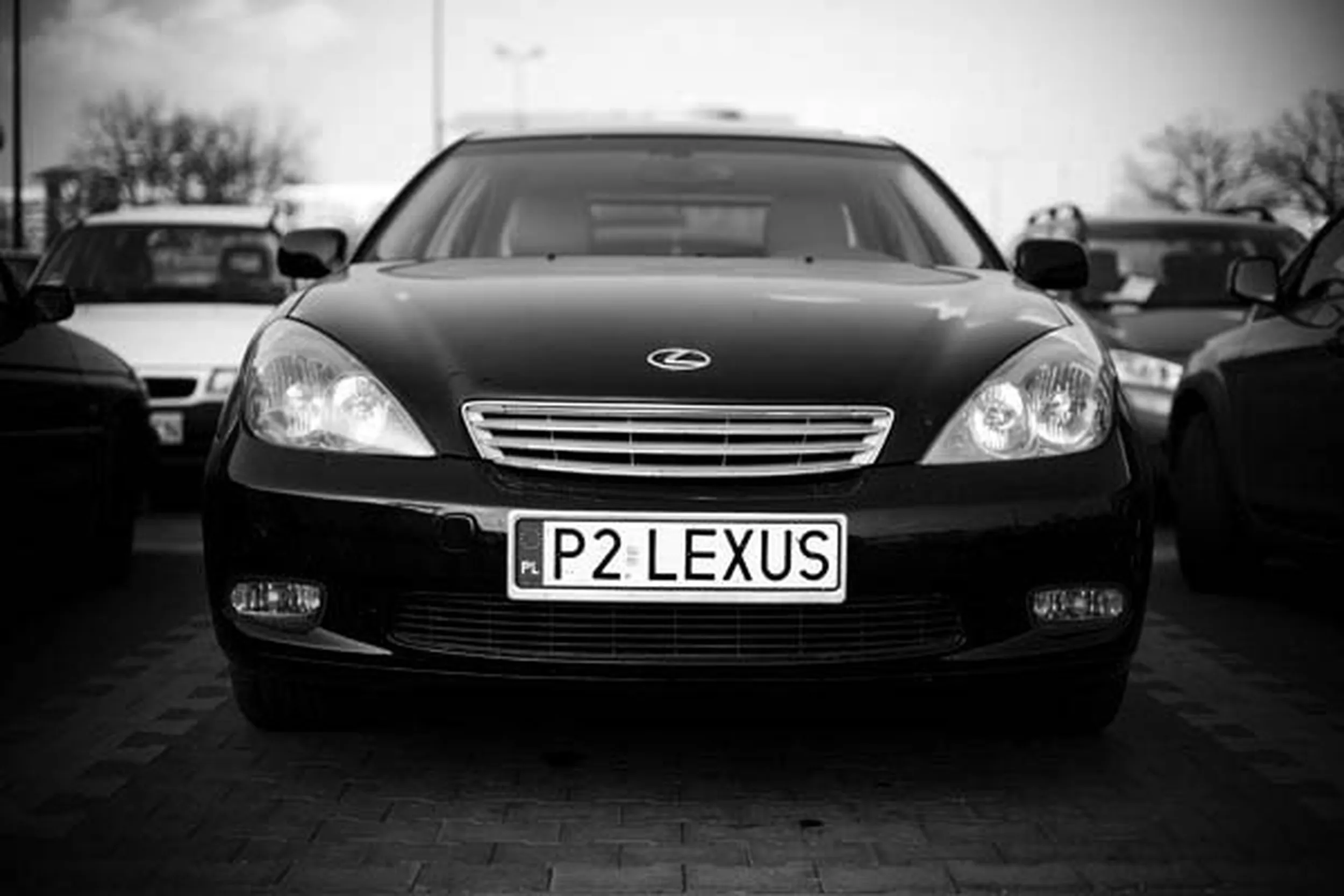 Fajny numer, blacha P2 LEXUS
