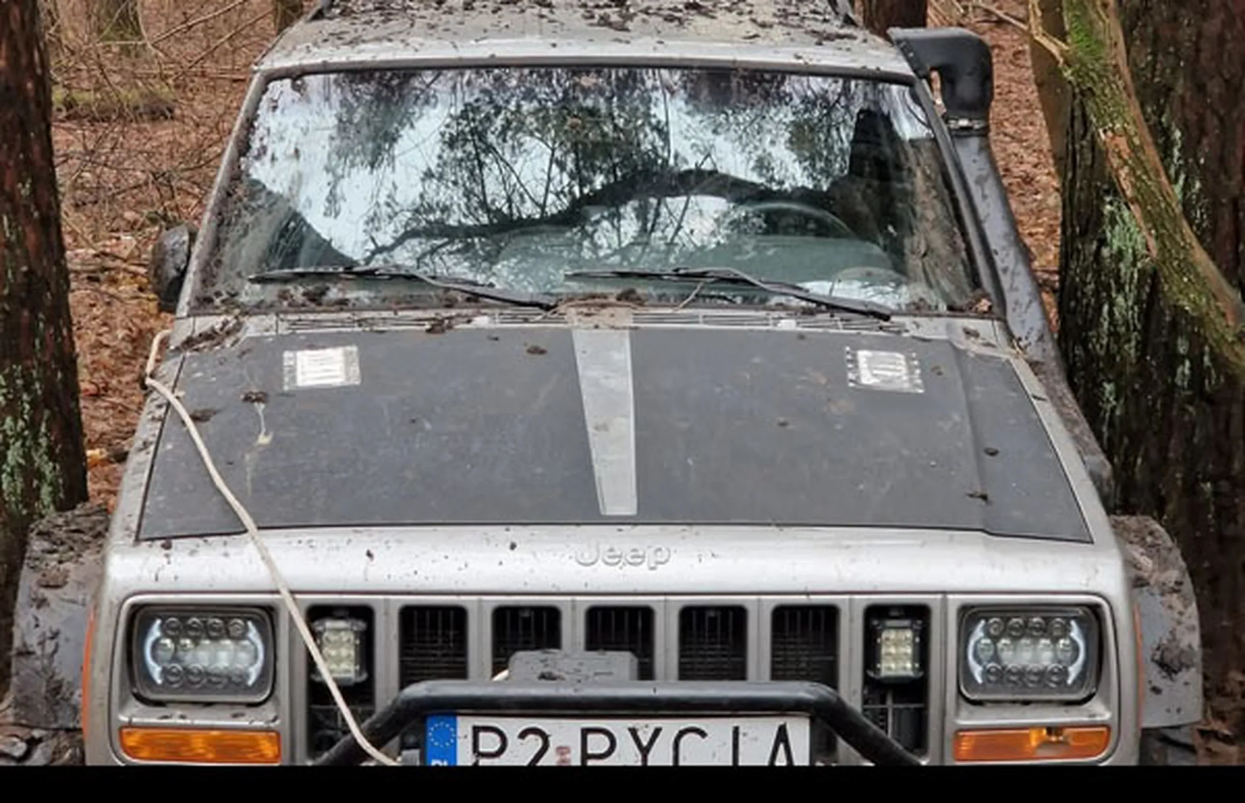 Fajny numer, blacha P2 PYCIA