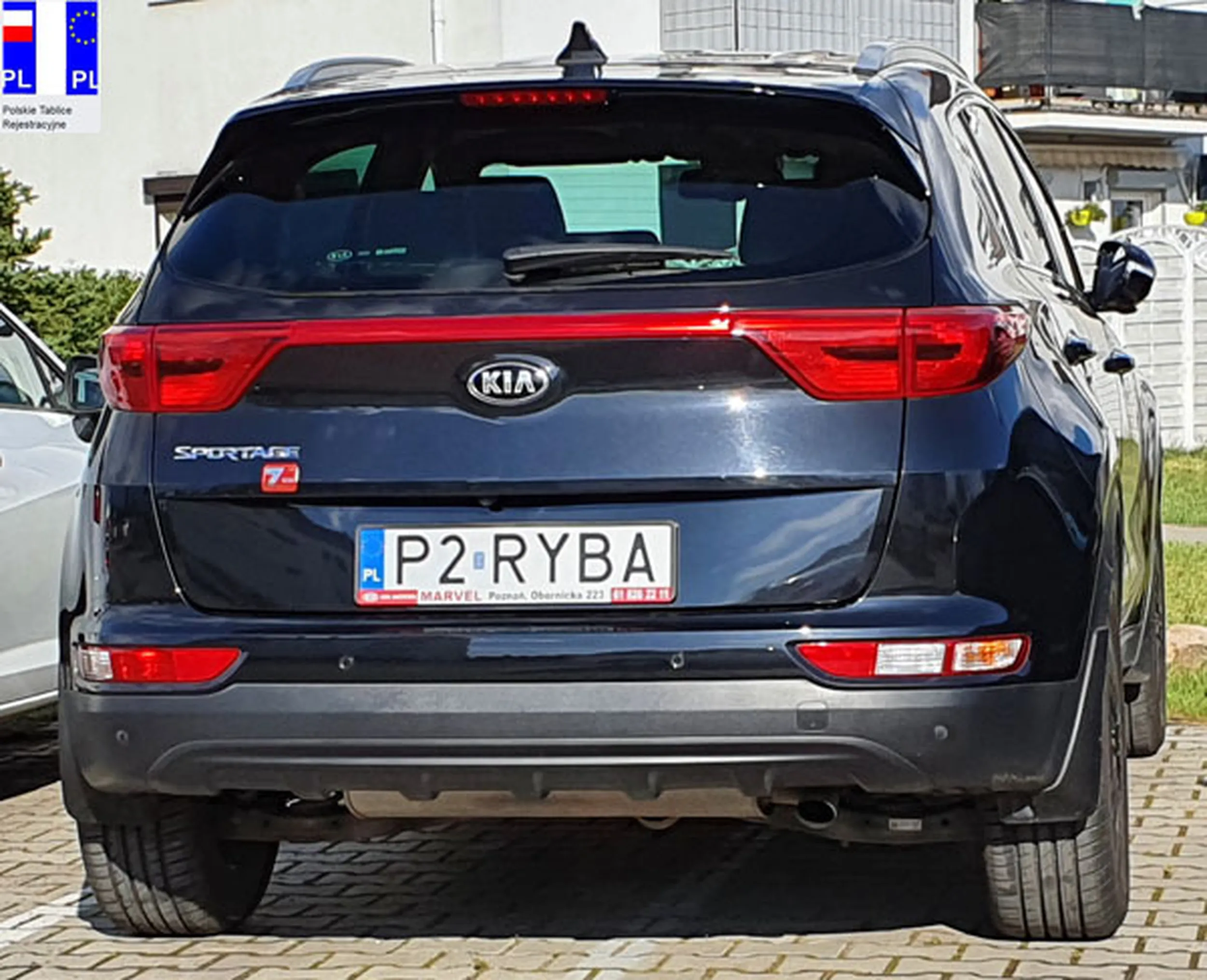 Fajny numer, blacha P2 RYBA