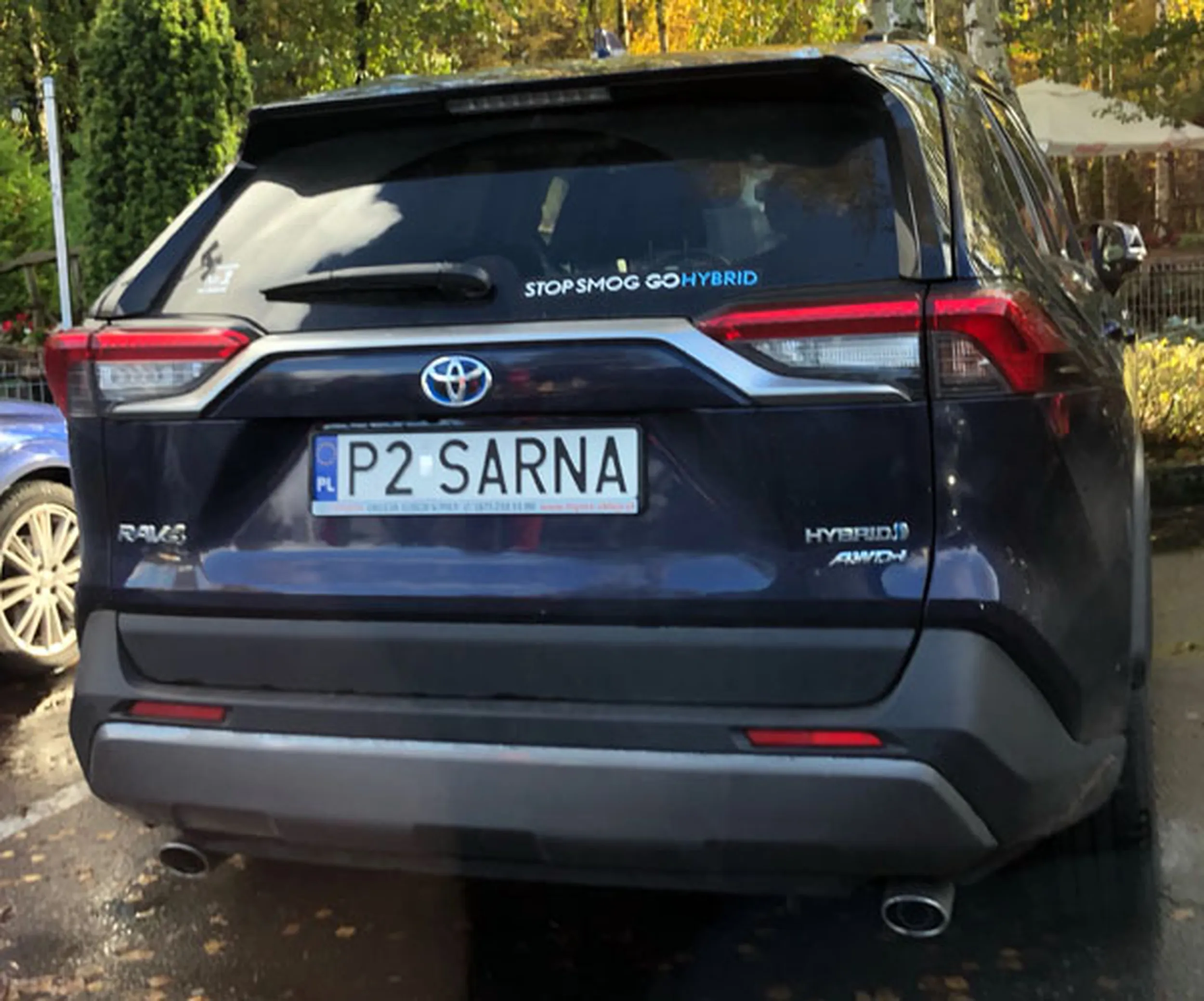 Fajny numer, blacha P2 SARNA