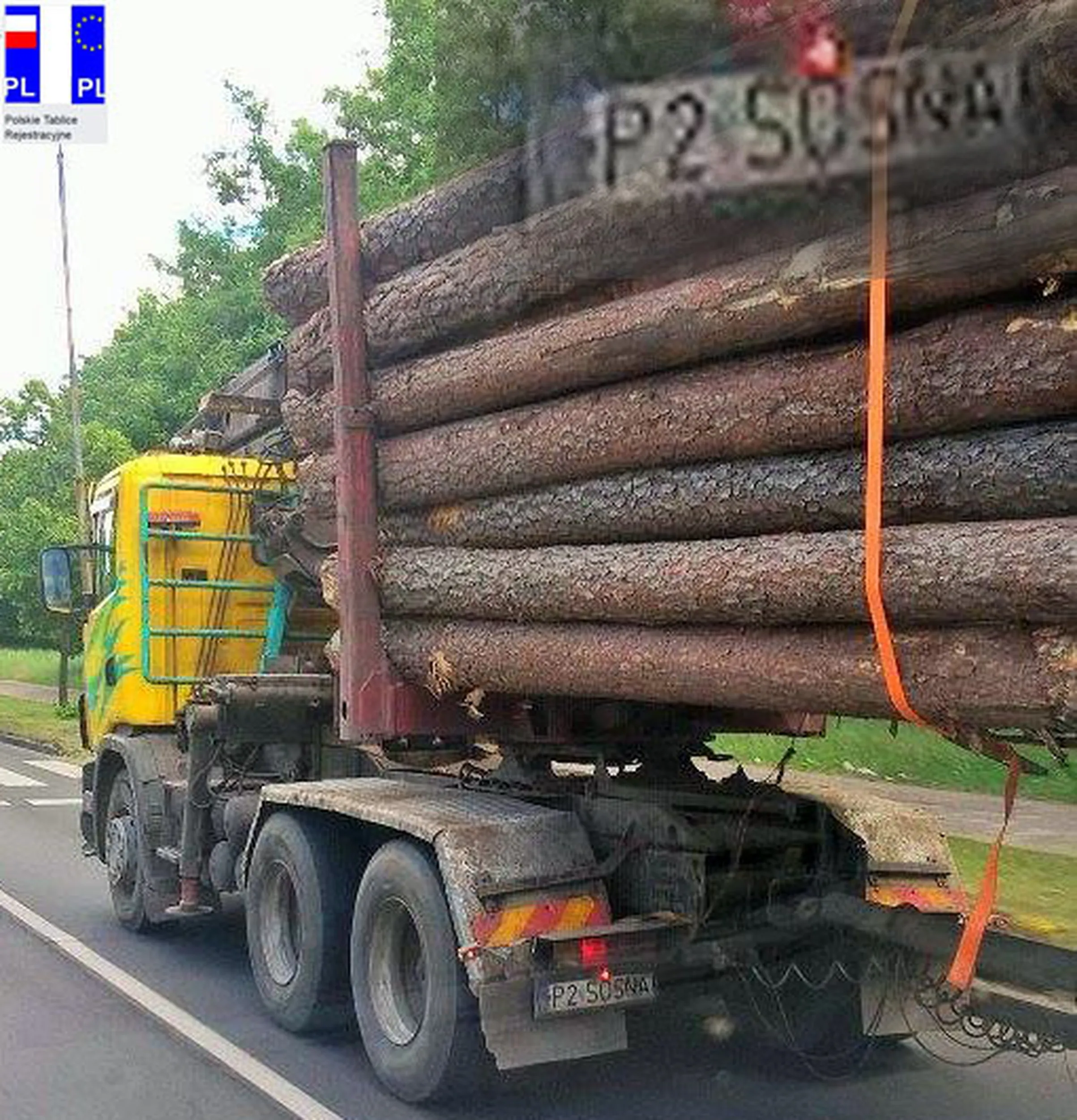 Fajny numer, blacha P2 SOSNA