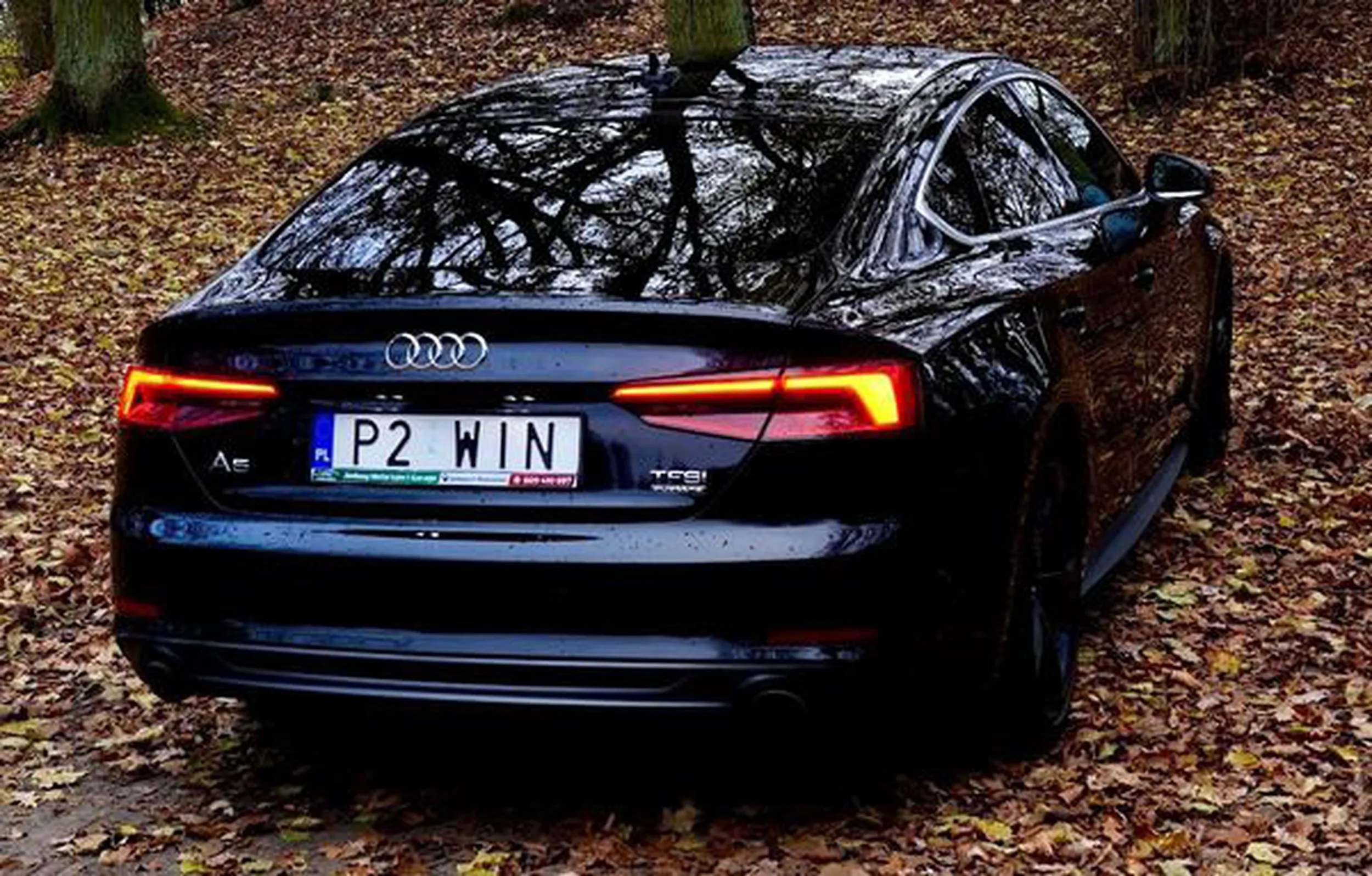 Fajny numer, blacha P2 WIN