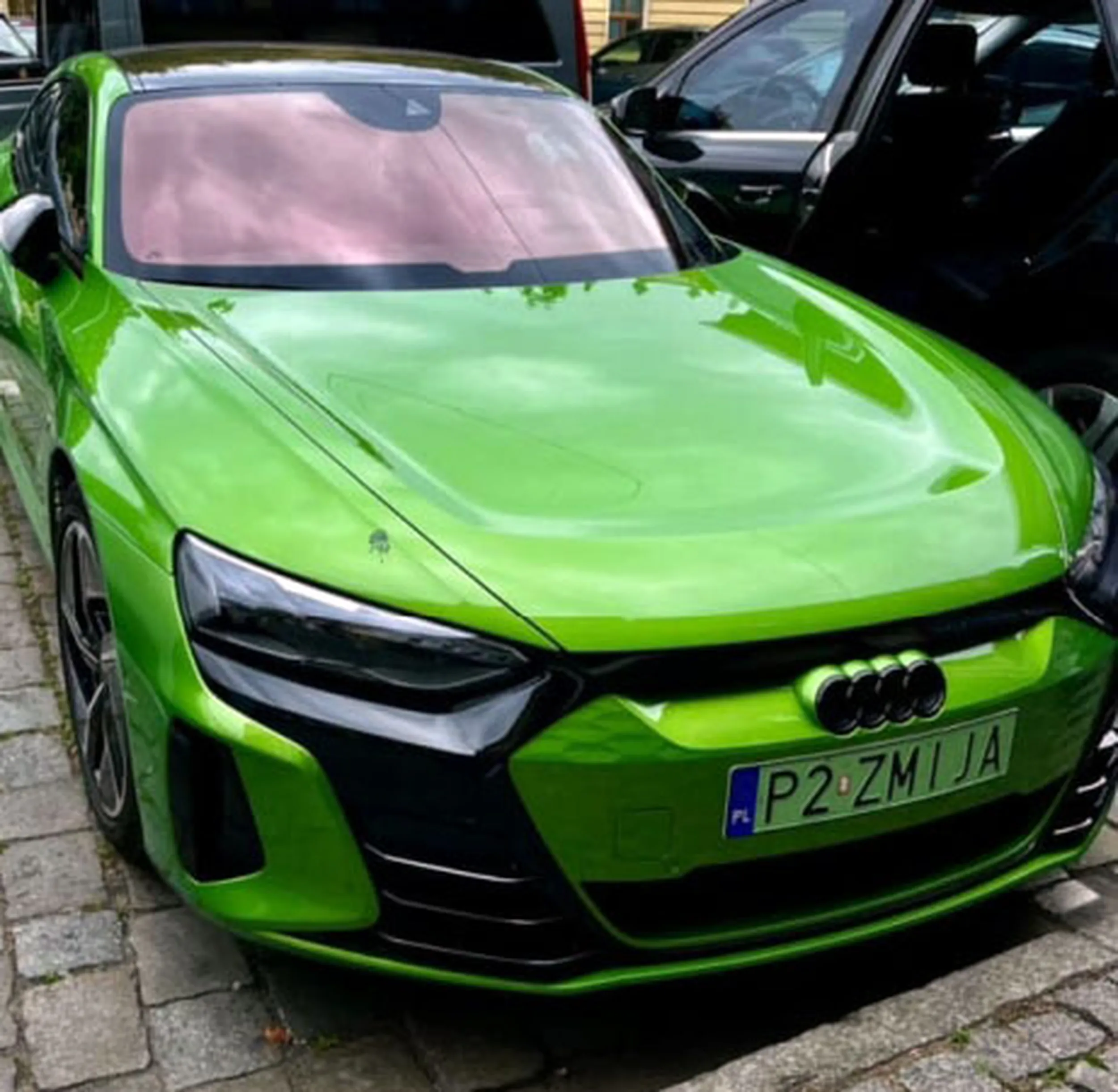 Fajny numer, blacha P2 ZMIJA