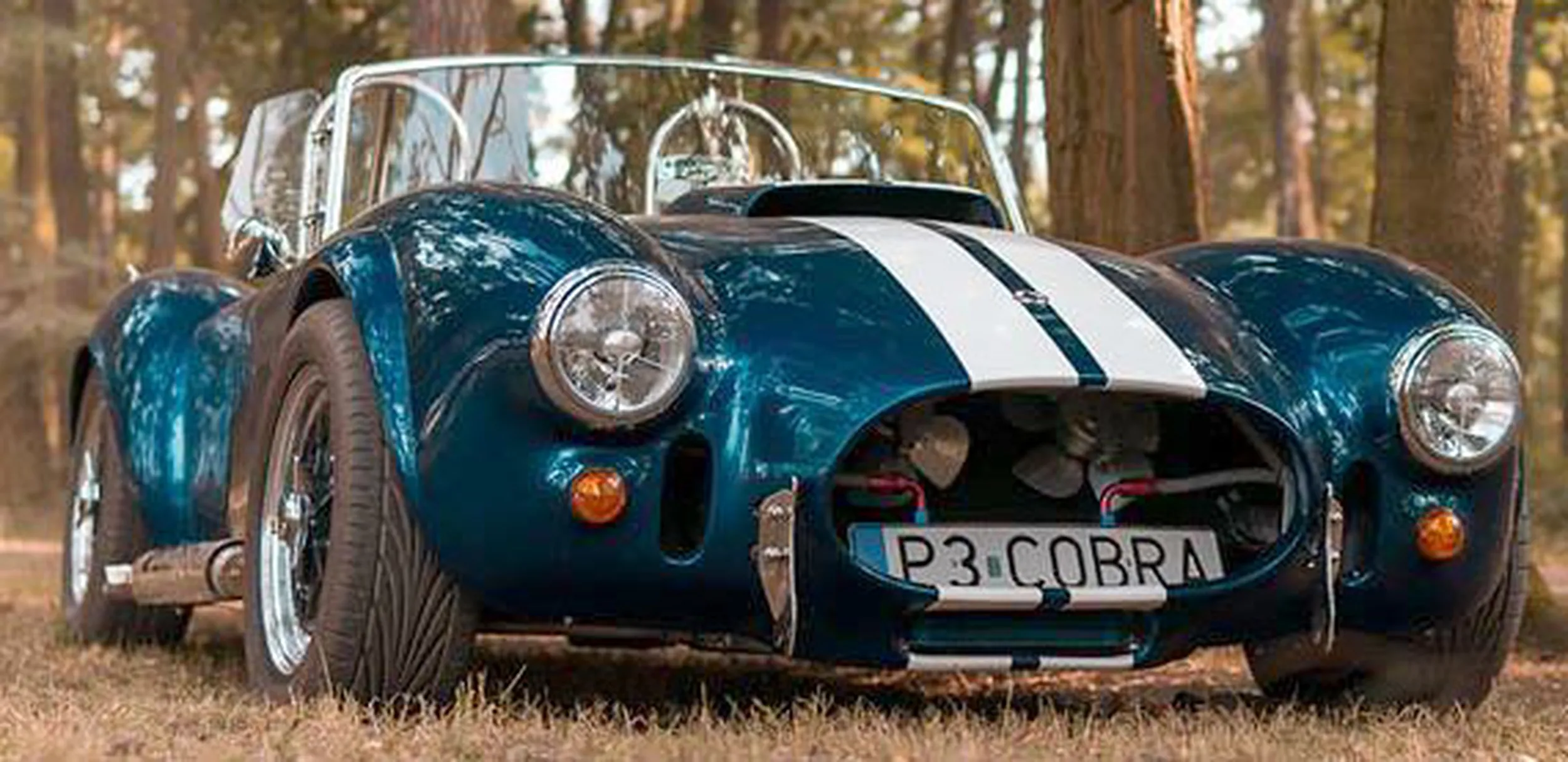 Fajny numer, blacha P3 COBRA