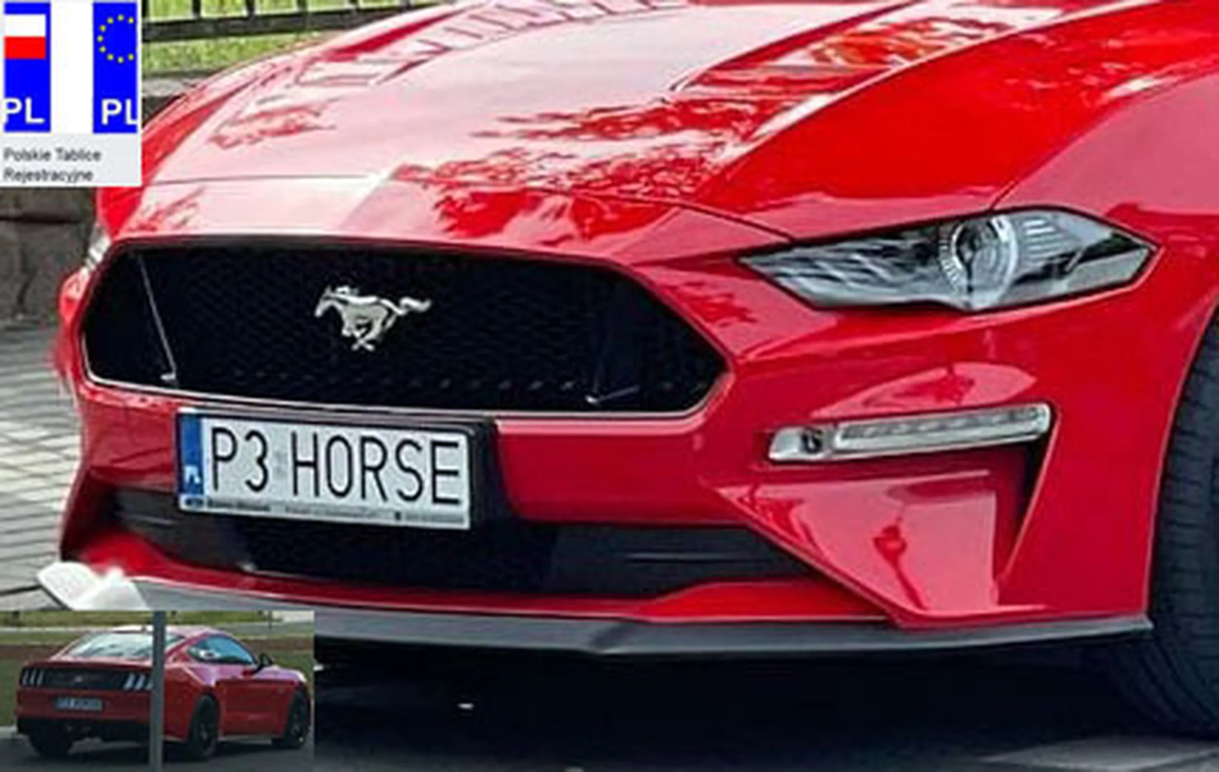 Fajny numer, blacha P3 HORSE