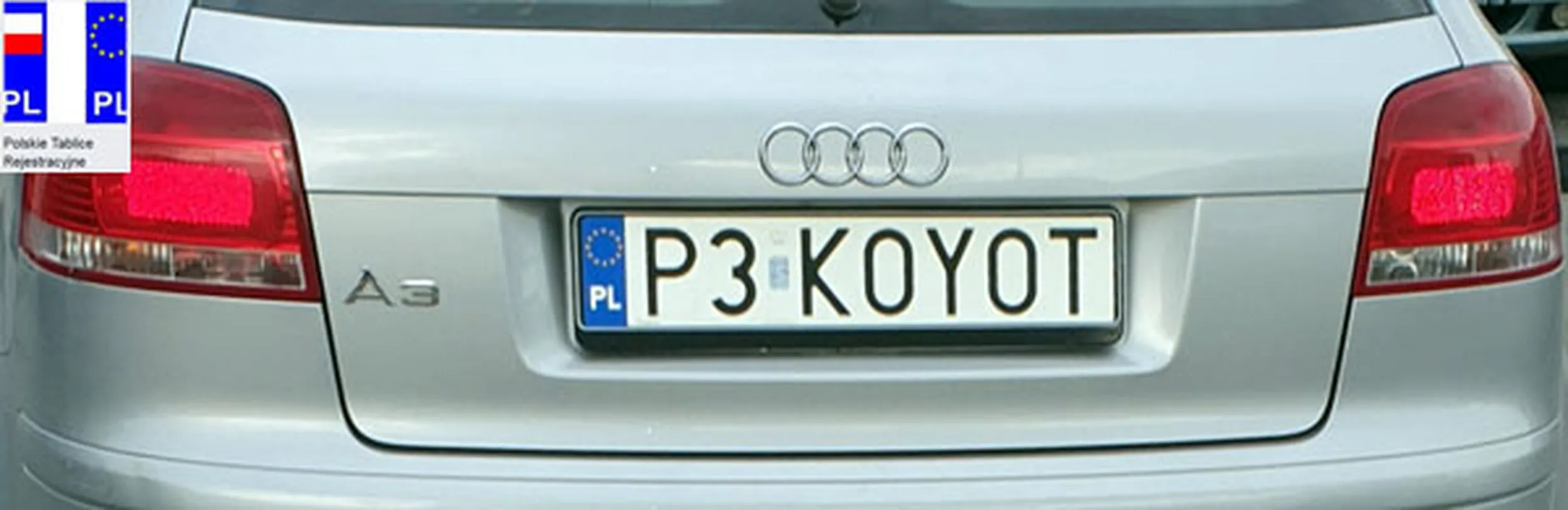 Fajny numer, blacha P3 KOYOT