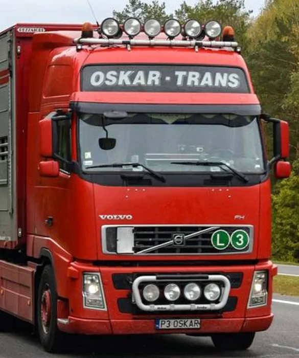 Fajny numer, blacha P3 OSKAR