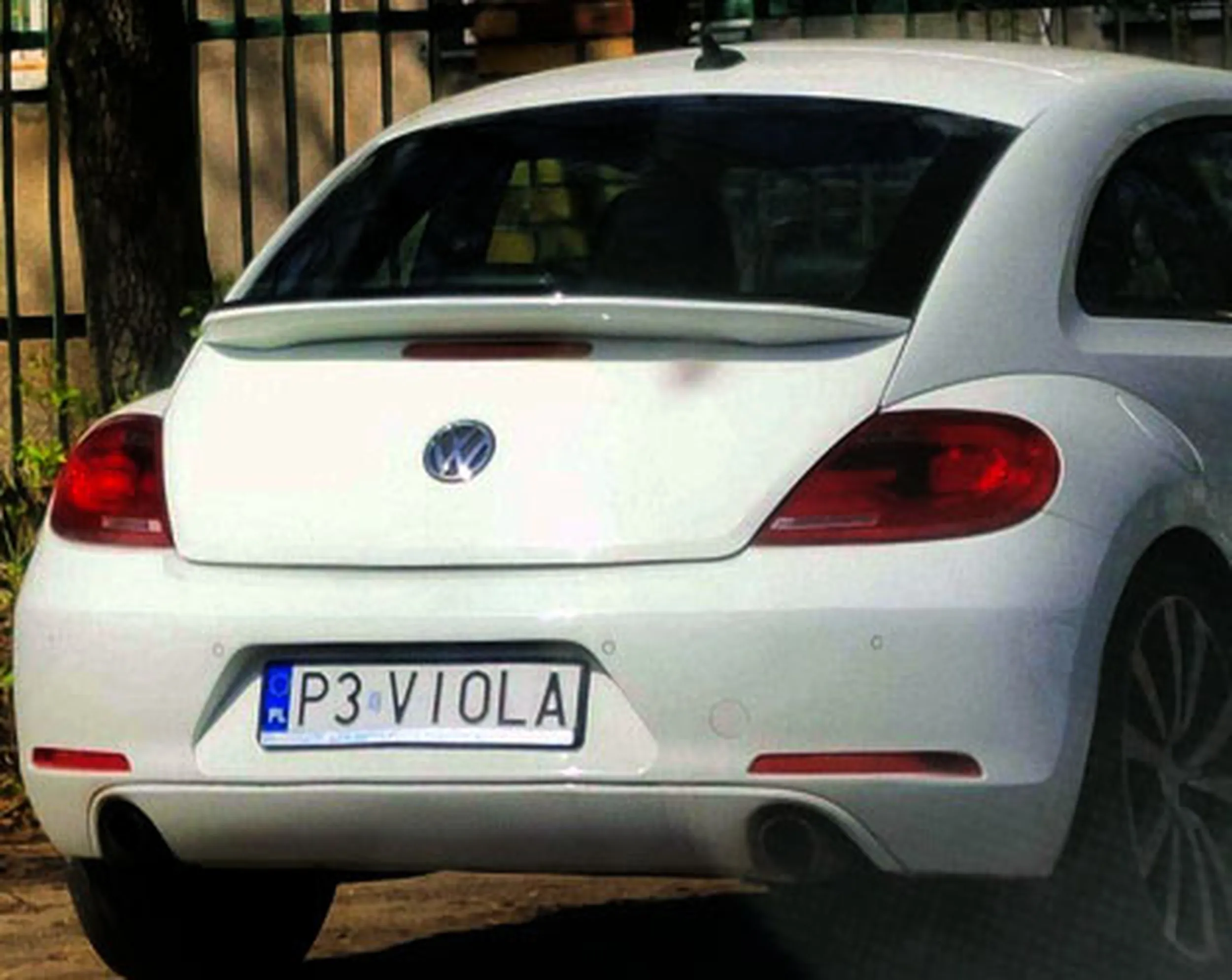 Fajny numer, blacha P3 VIOLA