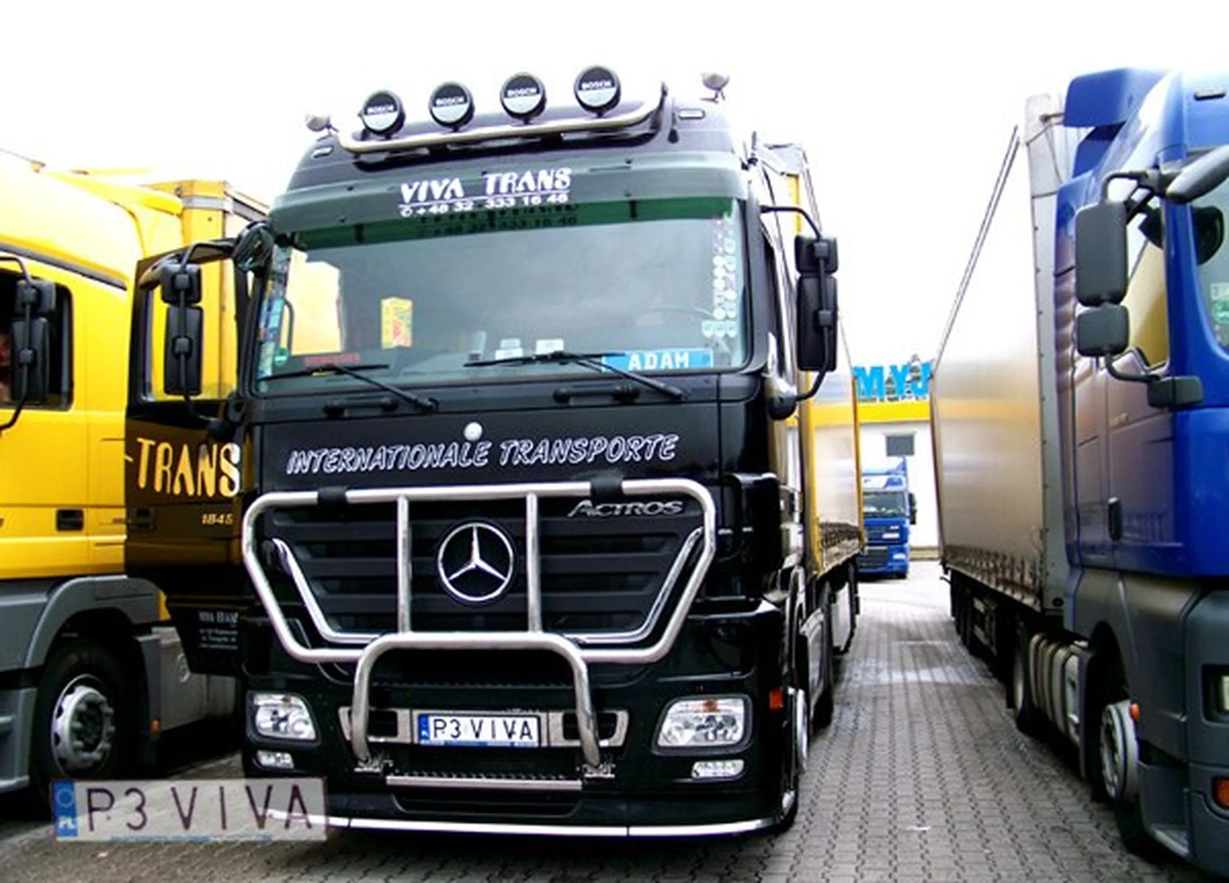 Fajny numer, blacha P3 VIVA