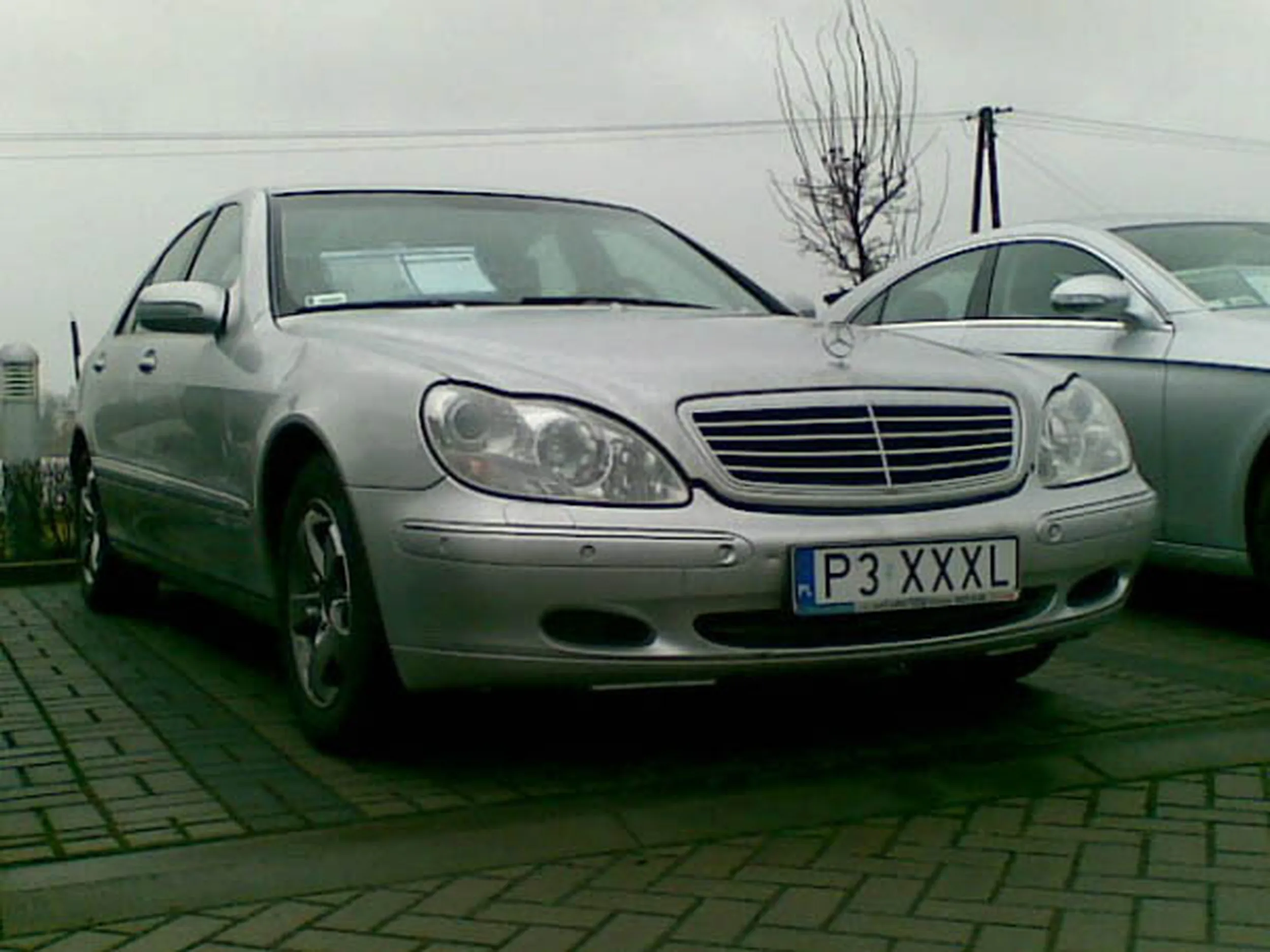 Fajny numer, blacha P3 XXXL