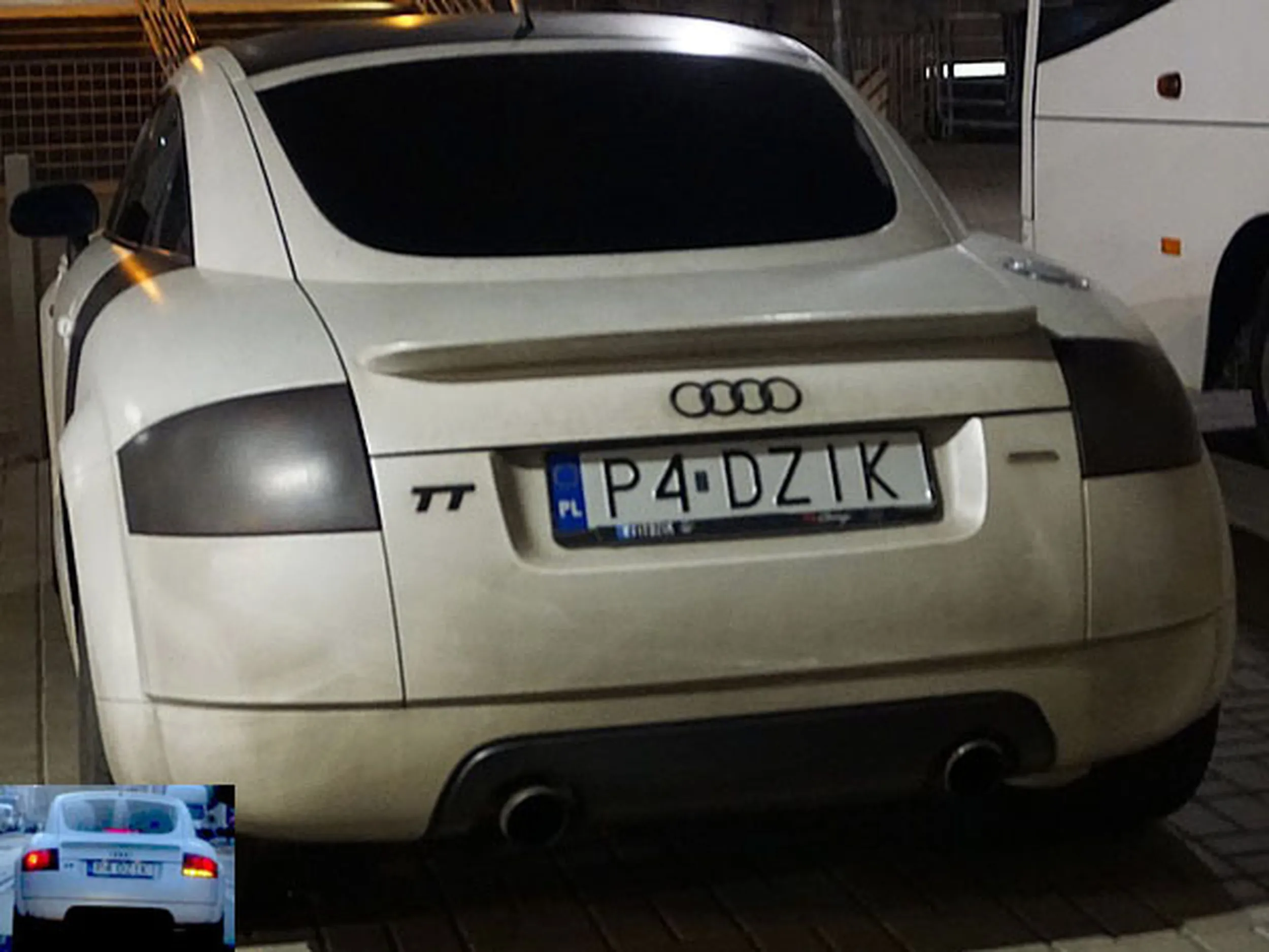 Fajny numer, blacha P4 DZIK