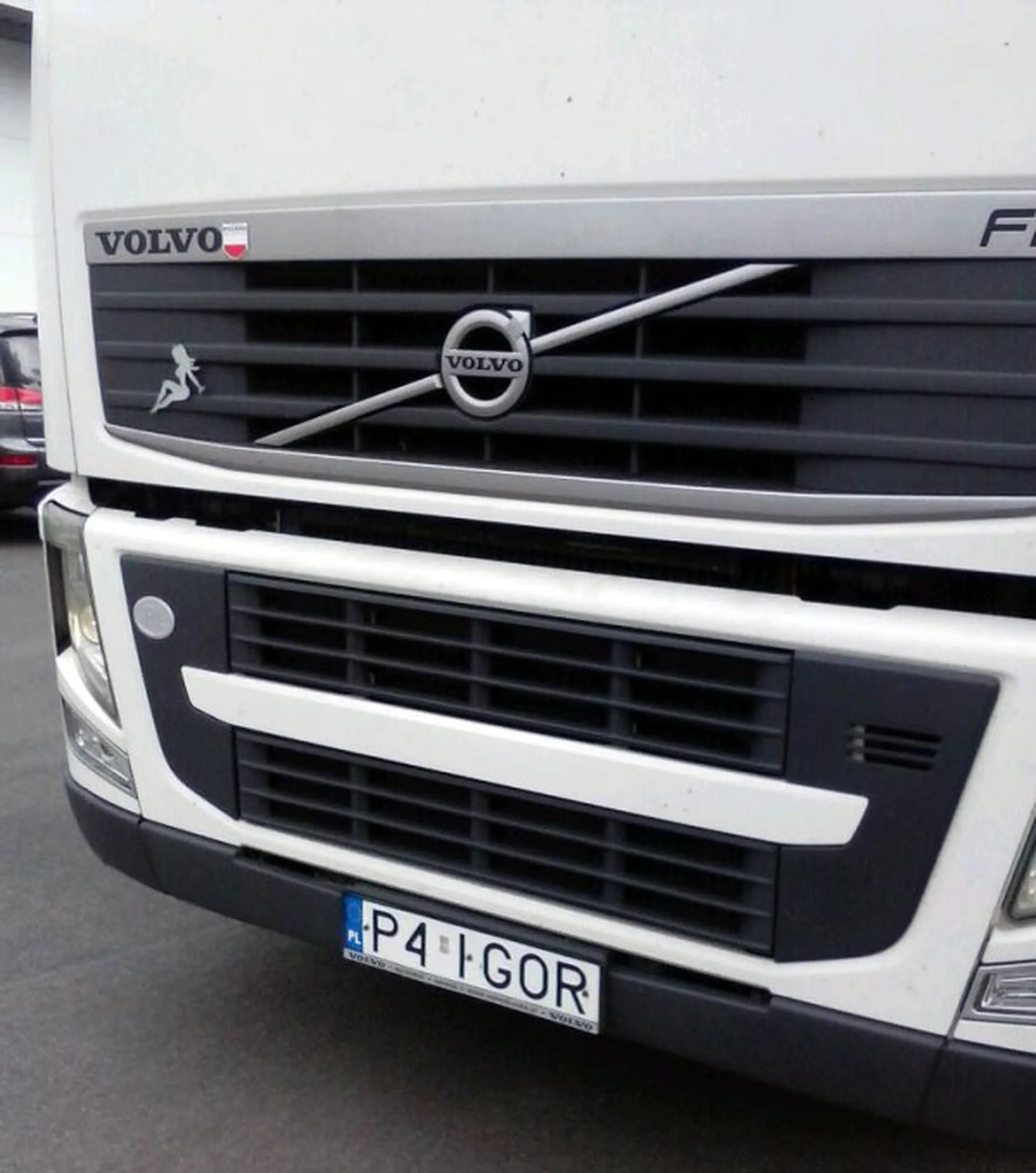 Fajny numer, blacha P4 IGOR