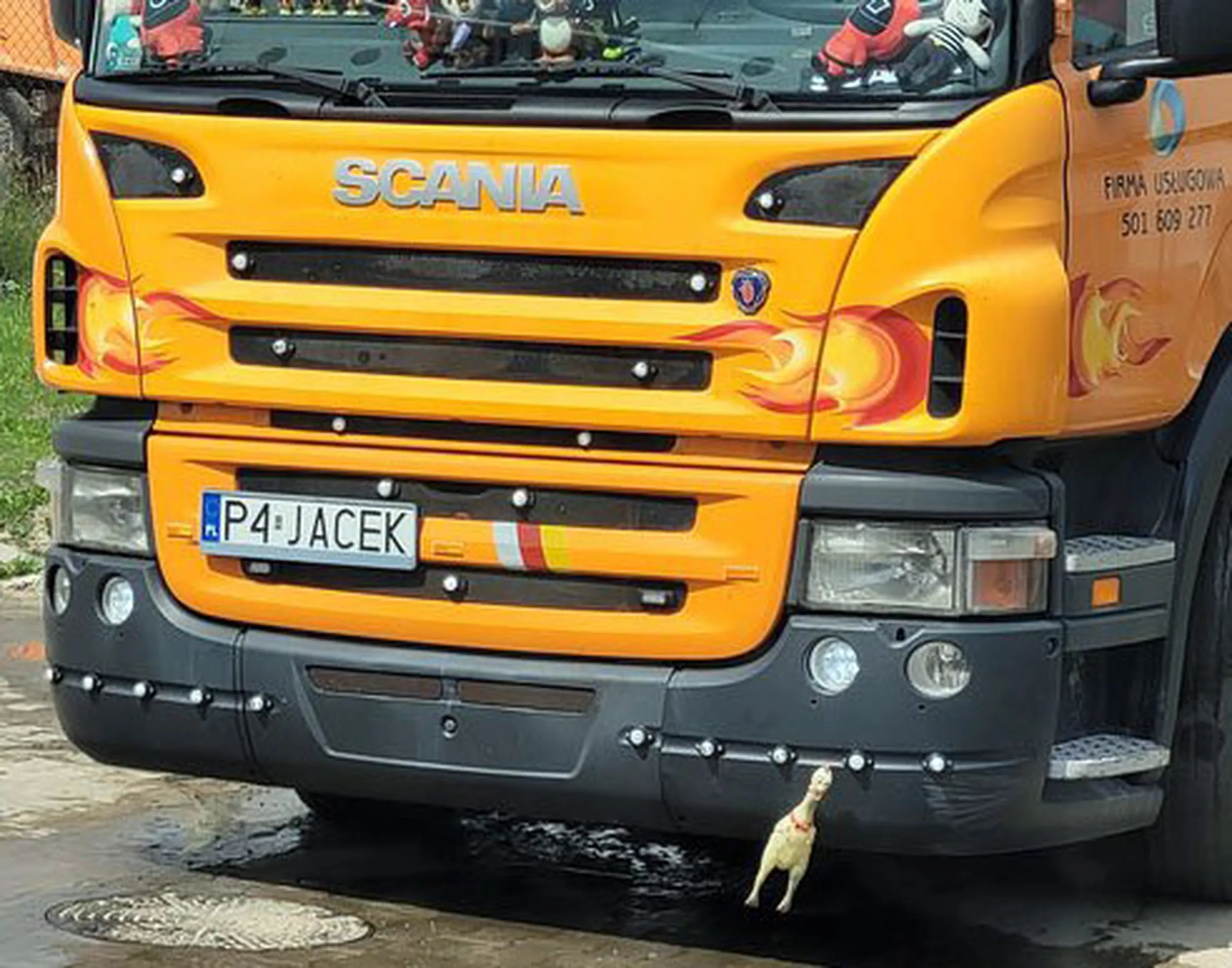 Fajny numer, blacha P4 JACEK