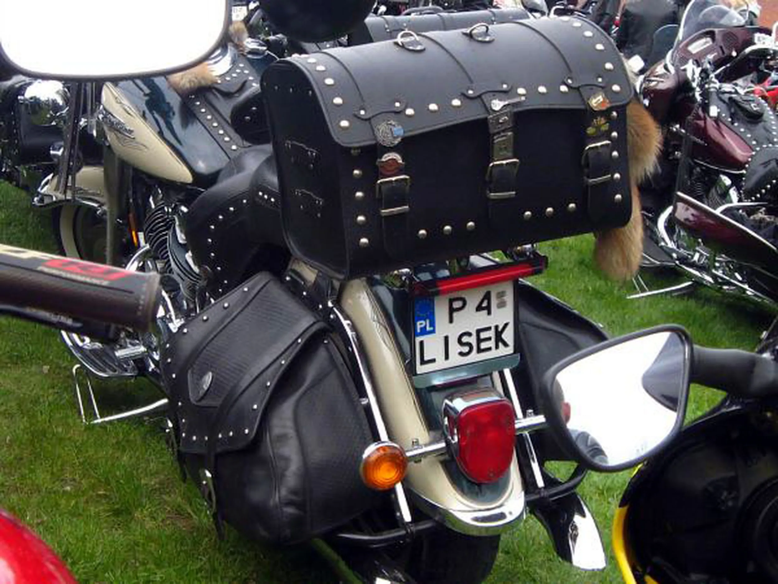 Fajny numer, blacha P4 LISEK