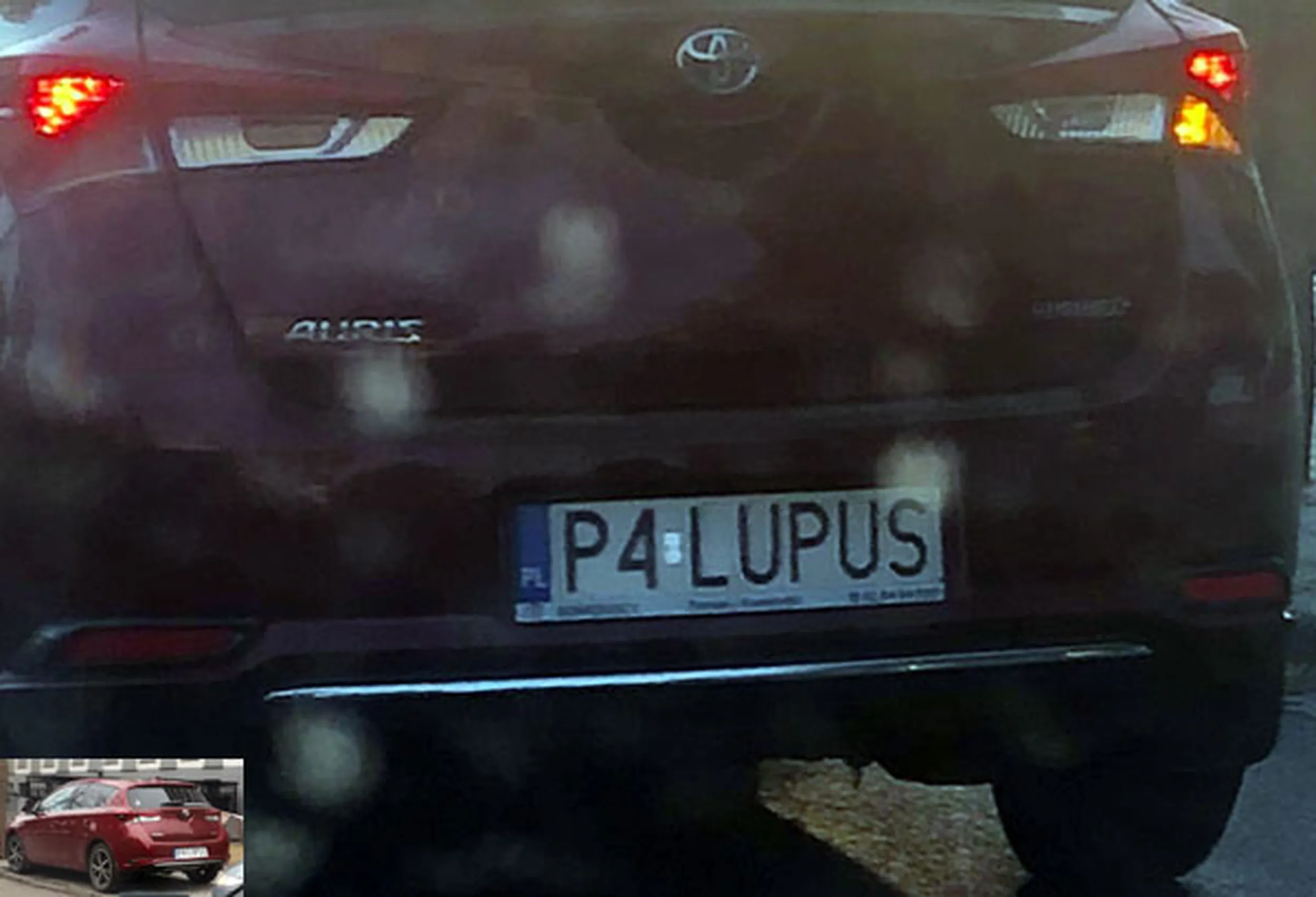 Fajny numer, blacha P4 LUPUS