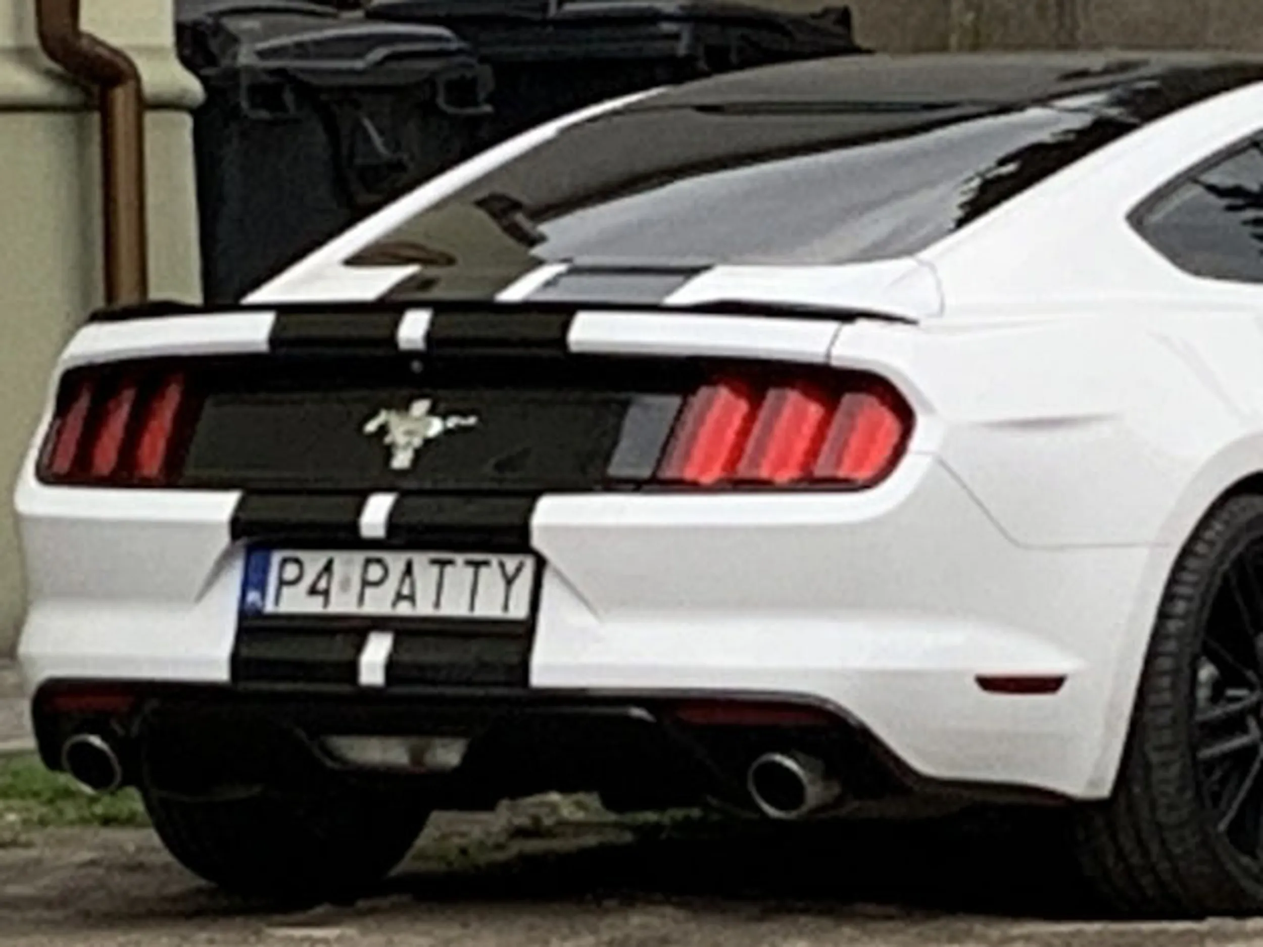 Fajny numer, blacha P4 PATTY