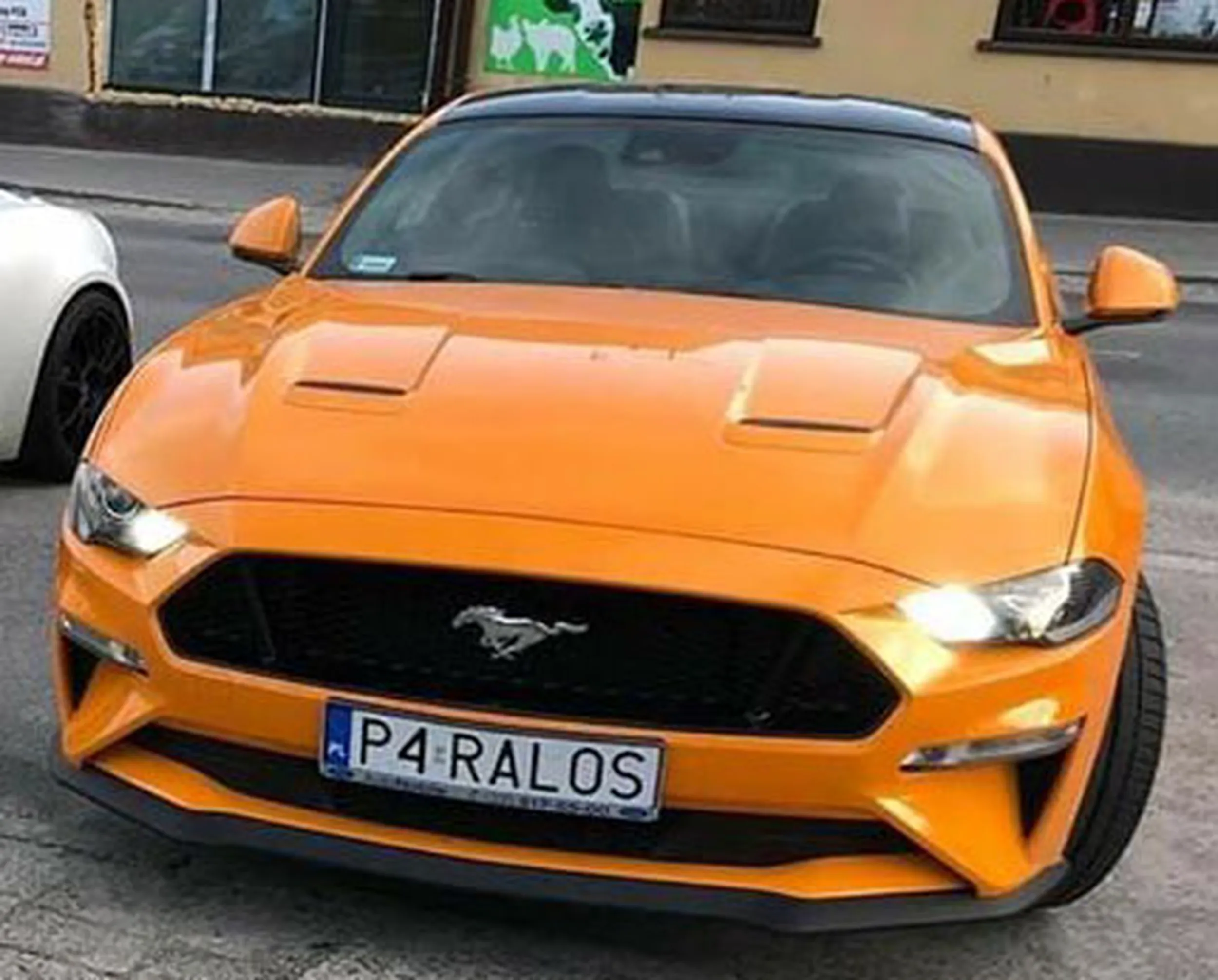 Fajny numer, blacha P4 RALOS