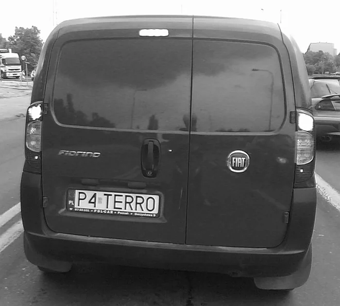 Fajny numer, blacha P4 TERRO