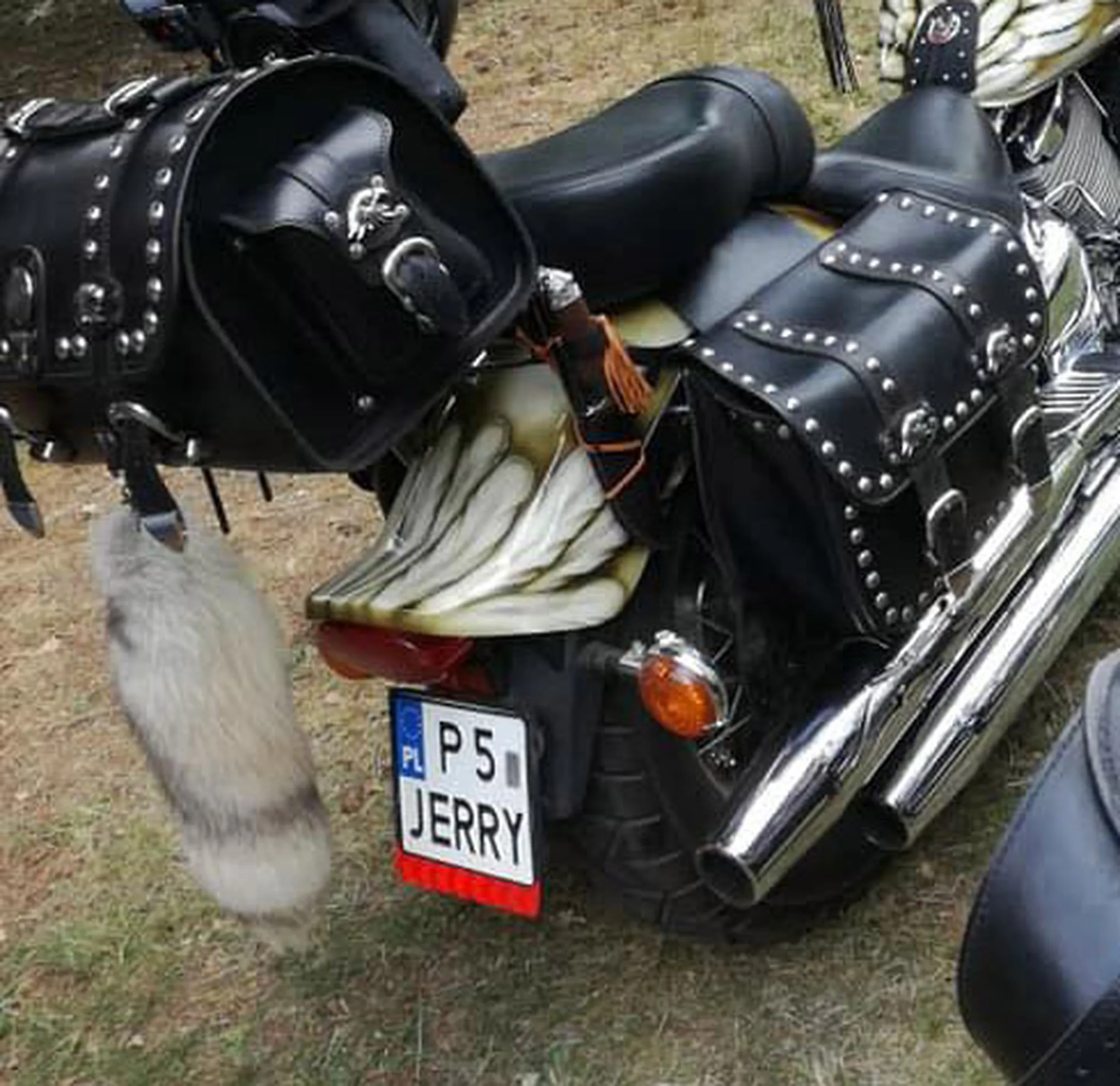 Fajny numer, blacha P5 JERRY