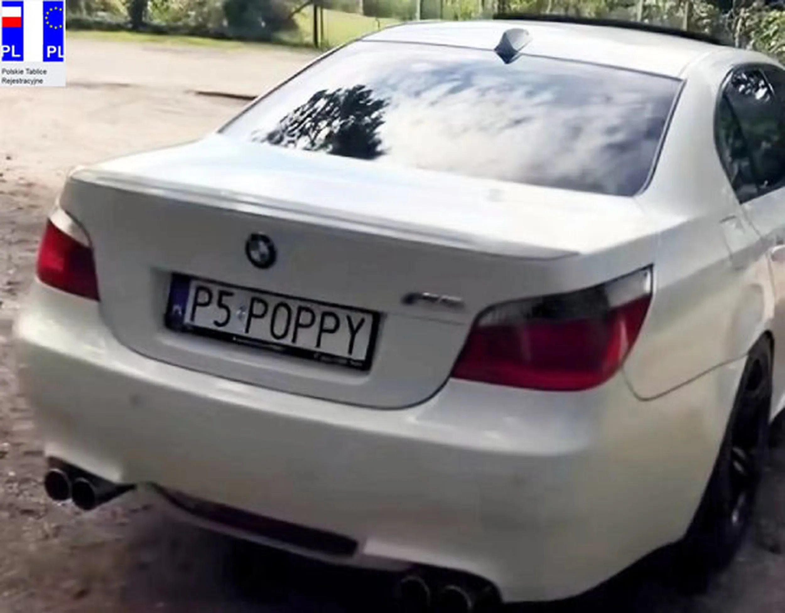 Fajny numer, blacha P5 POPPY