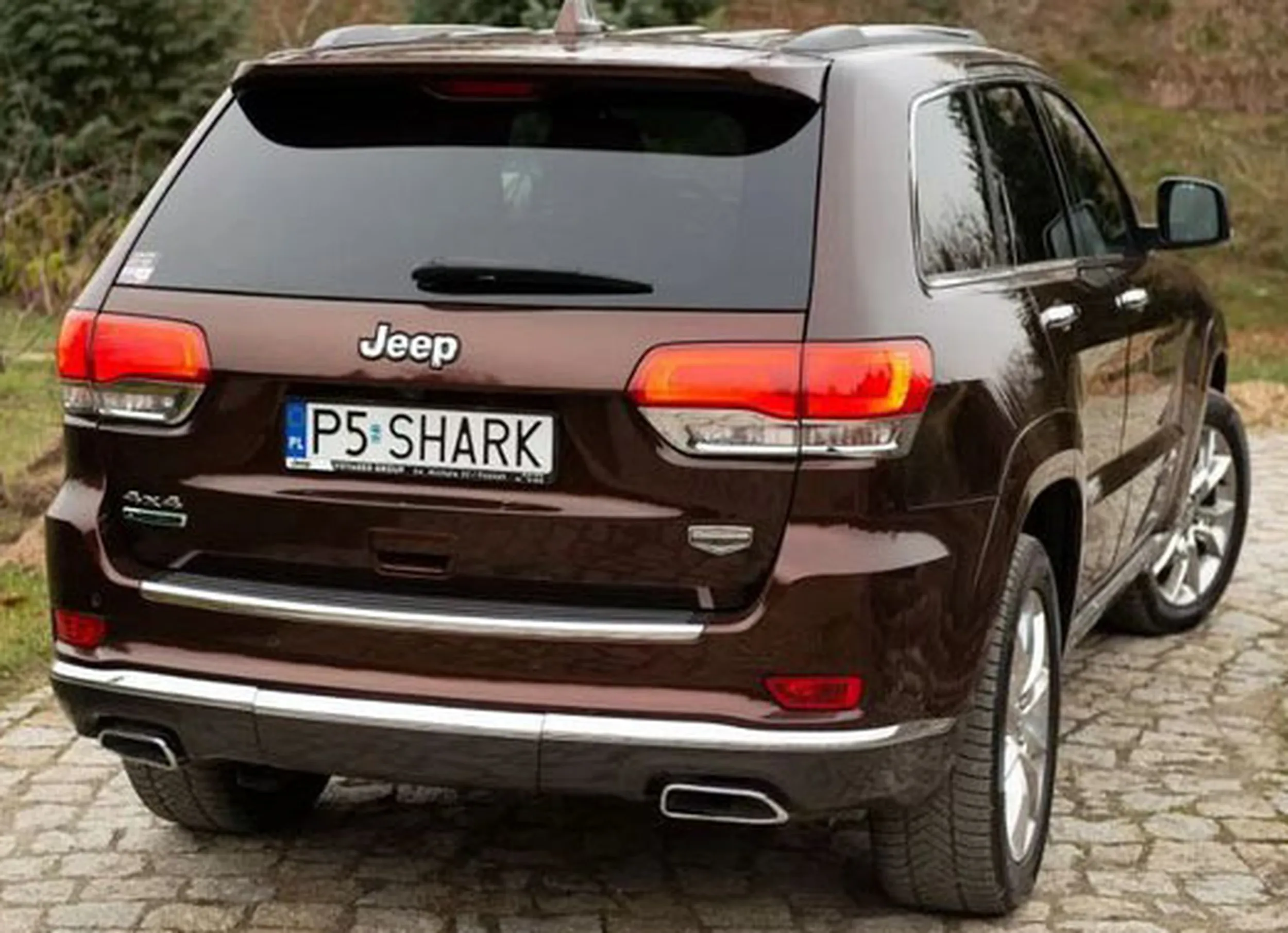 Fajny numer, blacha P5 SHARK