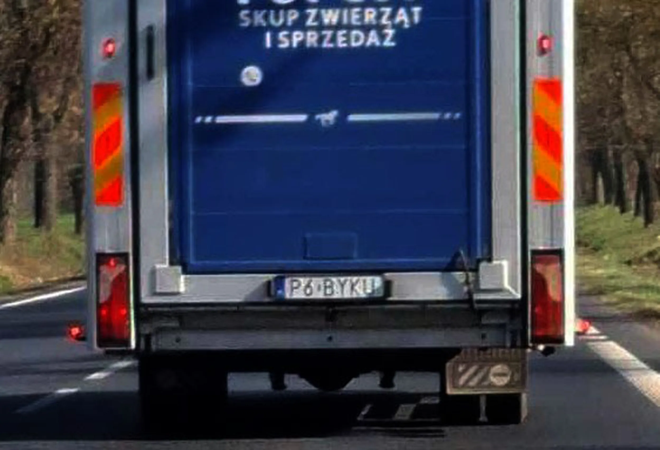 Fajny numer, blacha P6 BYKU