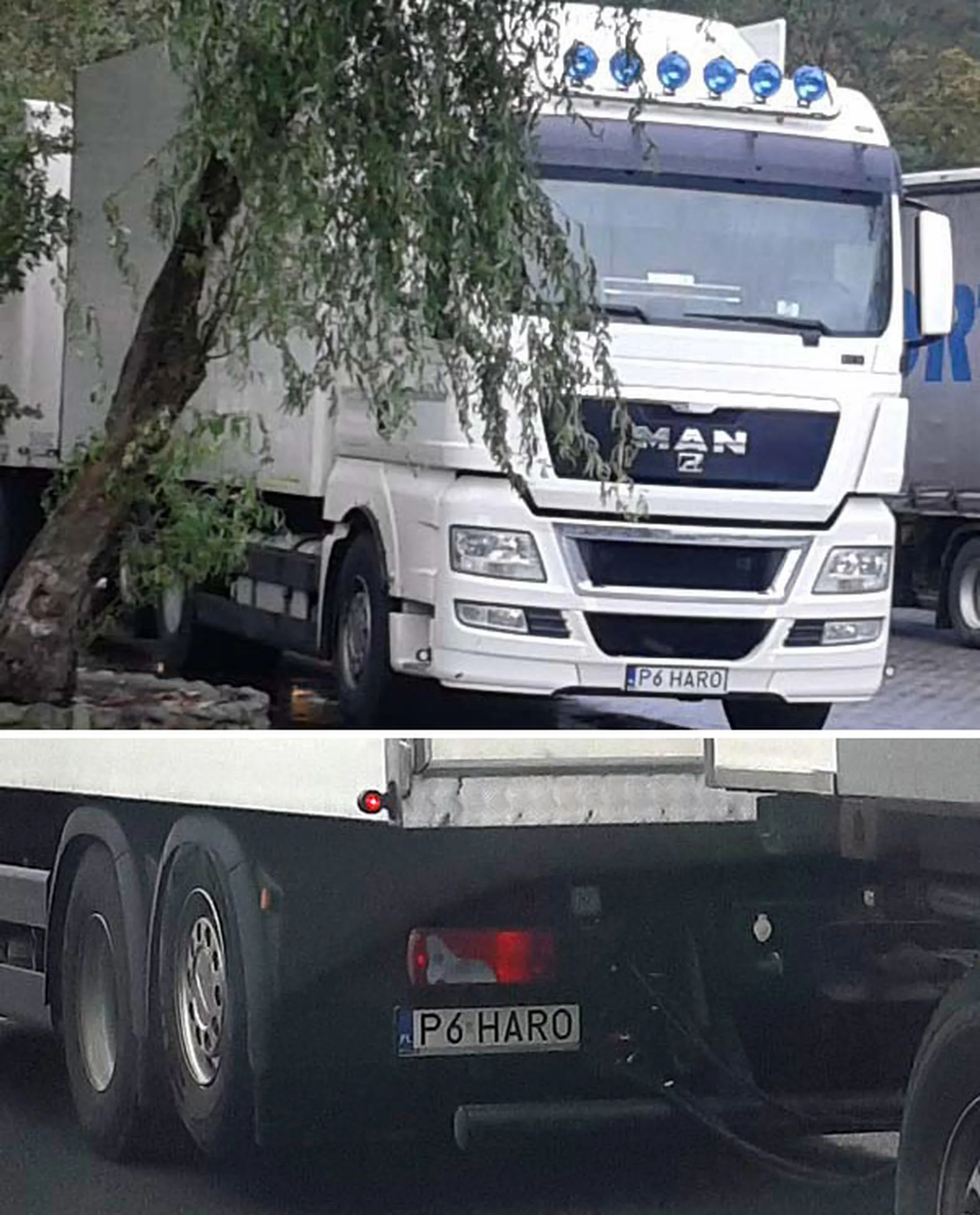 Fajny numer, blacha P6 HARO